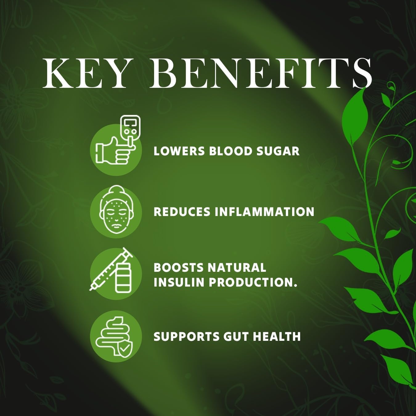 The World's Greatest Rejuvenation Betes Purgo Natural Citrus Bioflavonoid Supplement with Eriomin Citrus-Based Extract Formula Capsules 30