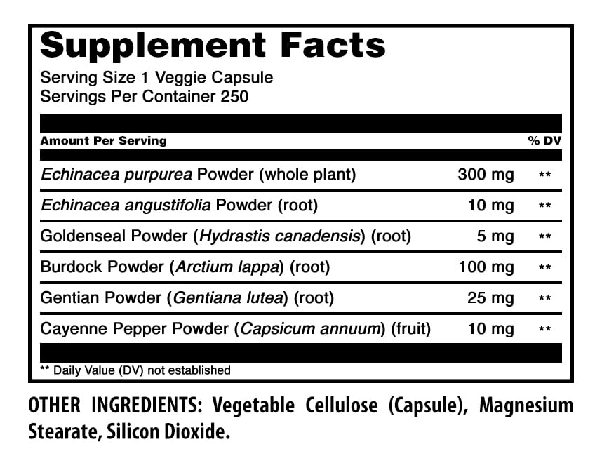 Amazing Nutrition Echinacea with Goldenseal Supplement Capsule 250 Count