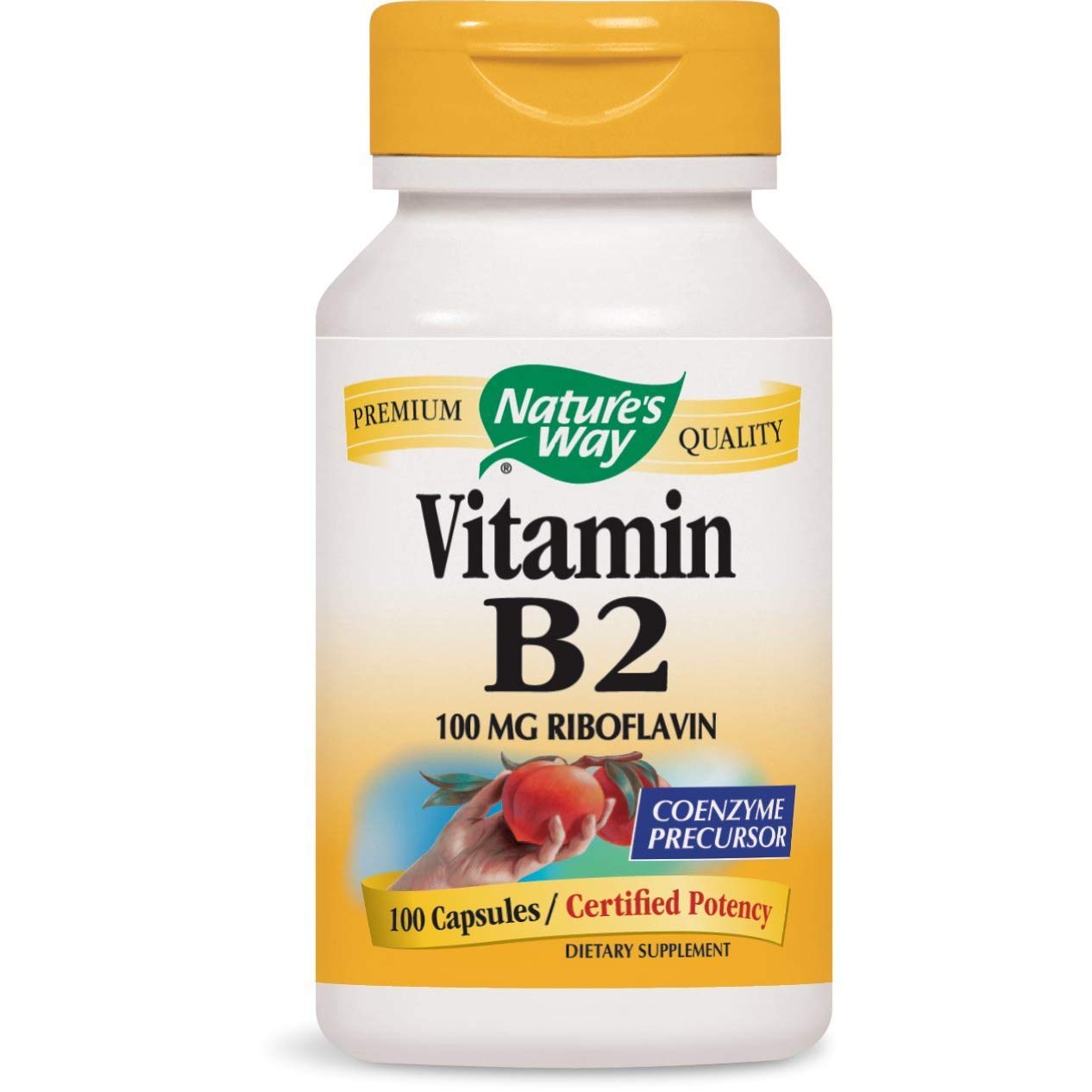 Nature's Way B2 100 Mg Capsules 600 Capsules
