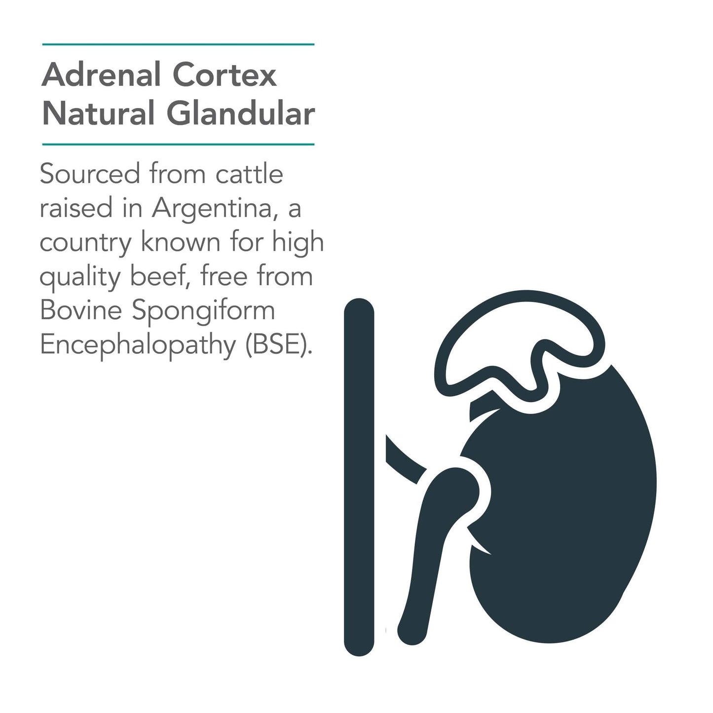 Allergy Research Group Adrenal Support Supplement for Men & Women Capsule 100 Count
