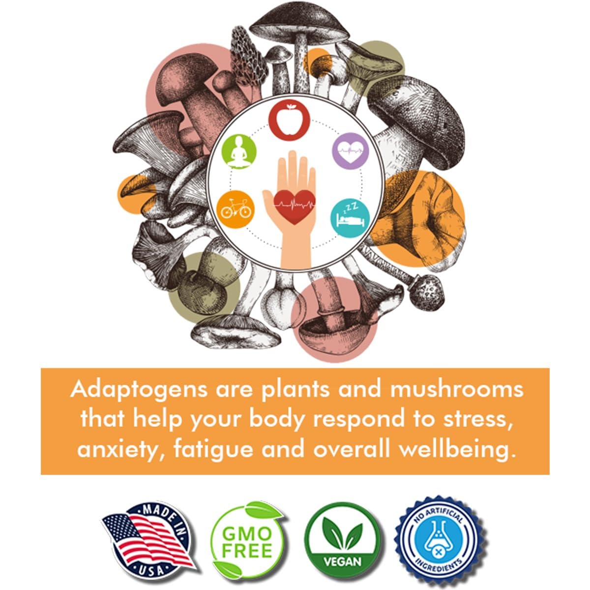 Tree of Life Botanicals Immunity Mushroom Complex 60 Capsules