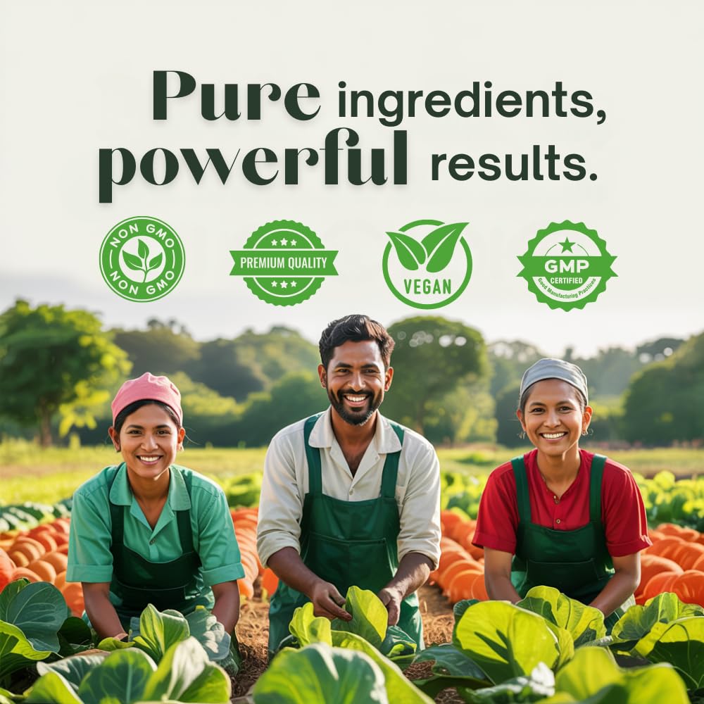 Deha Triphala Capsules 30 Count