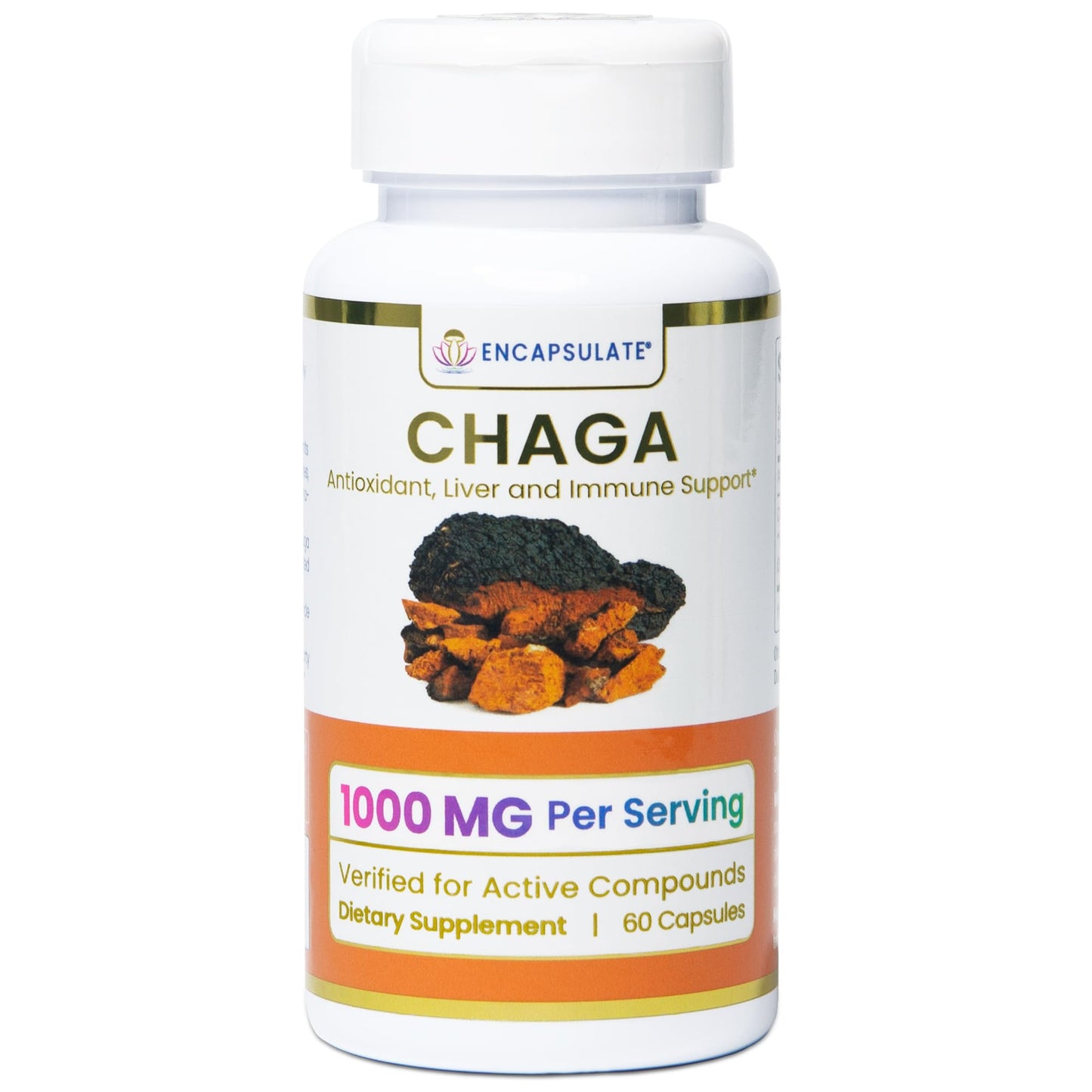 ENCAPSULATE Chaga 8:1 Extract Capsules – Premium Organic Fruiting Body 8:1 Mushroom Extract – Adaptogen Mushroom Supplement for Antioxidant, Digestive & Immune Support – Lab Tested, 60 Capsules