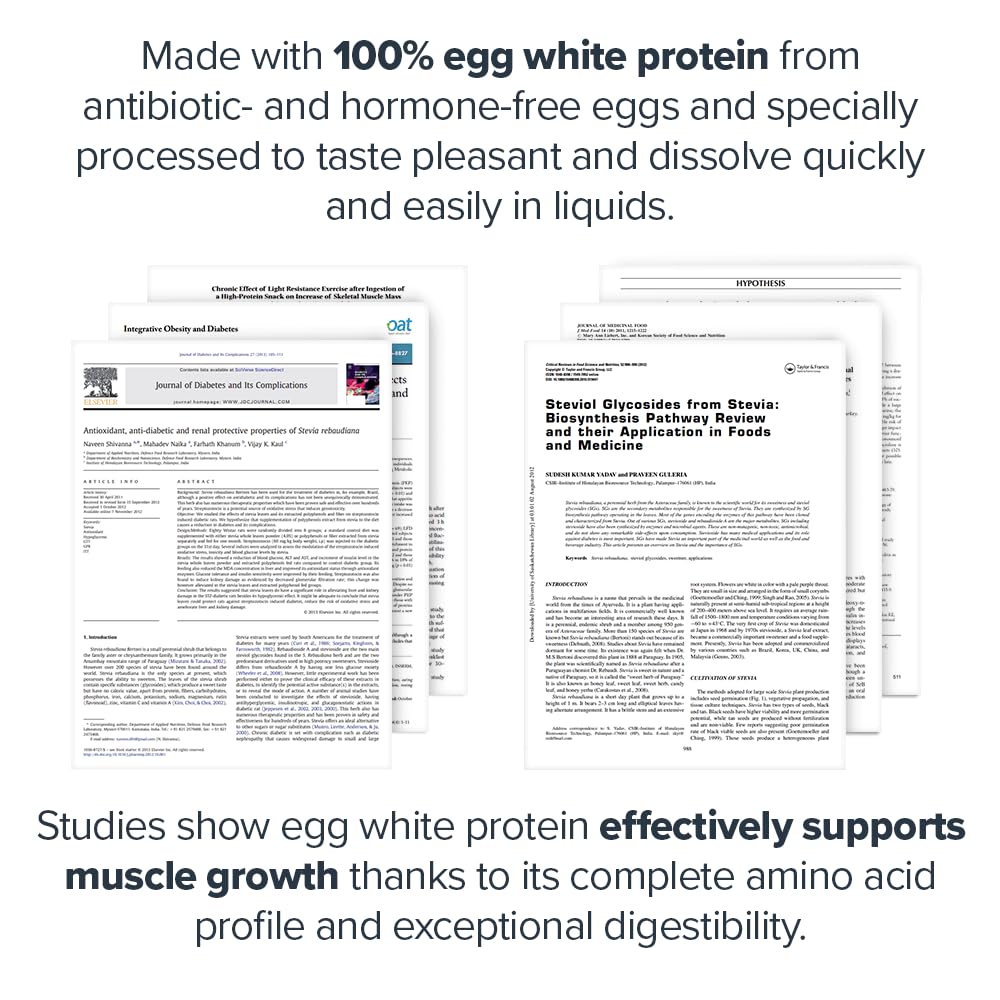 LEGION Egg+ Protein Powder with BCAAs - Naturally Sweetened and Flavored Egg White Protein Powder, Chocolate, 24.9 Servings