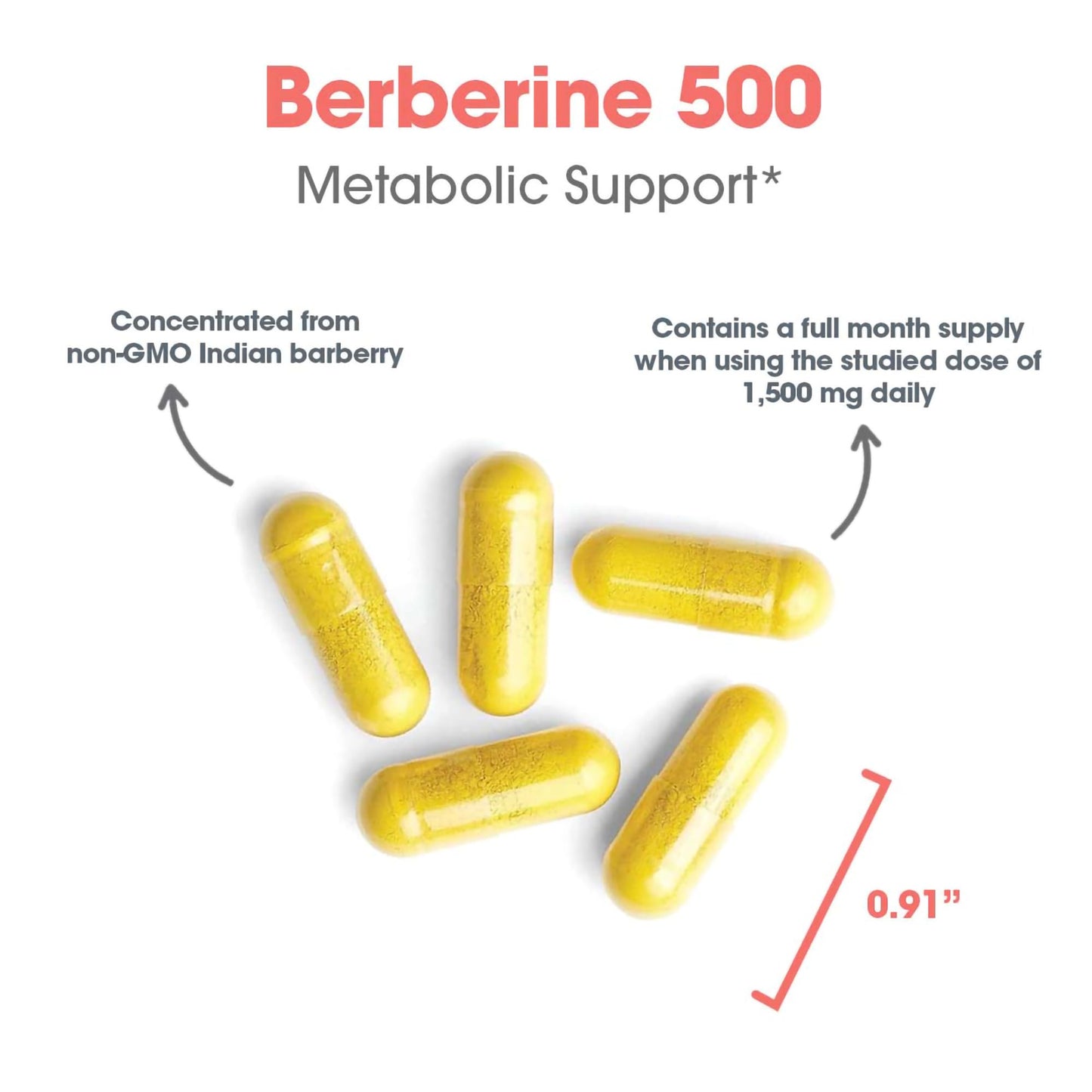 Allergy Research Group Berberine 500 HCl Capsule, 90 Capsules