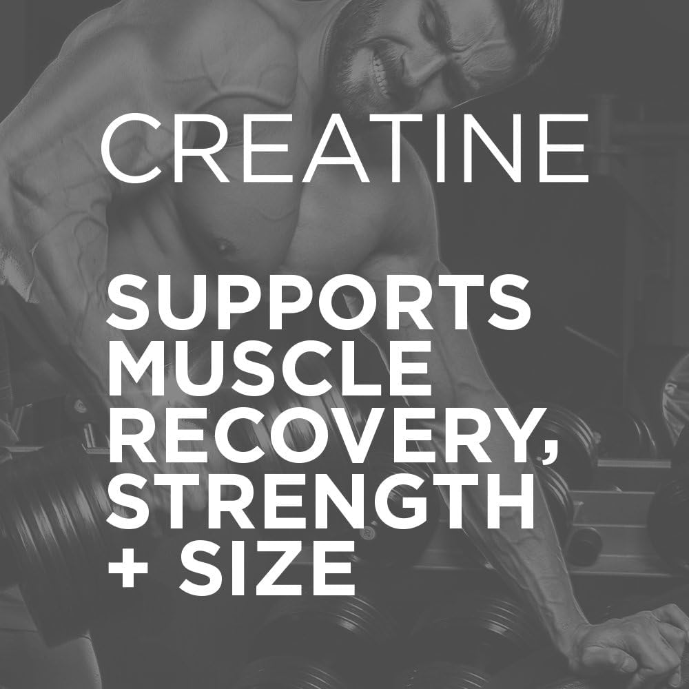 Purbolics Creapure Creatine Monohydrate, Micronized Creatine Powder 9.87 Ounce