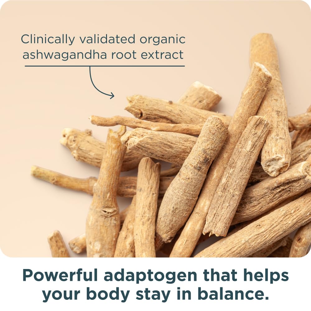Ancient Nutrition Women’s 50+ Multivitamin with Ashwagandha Capsules, 60 Count