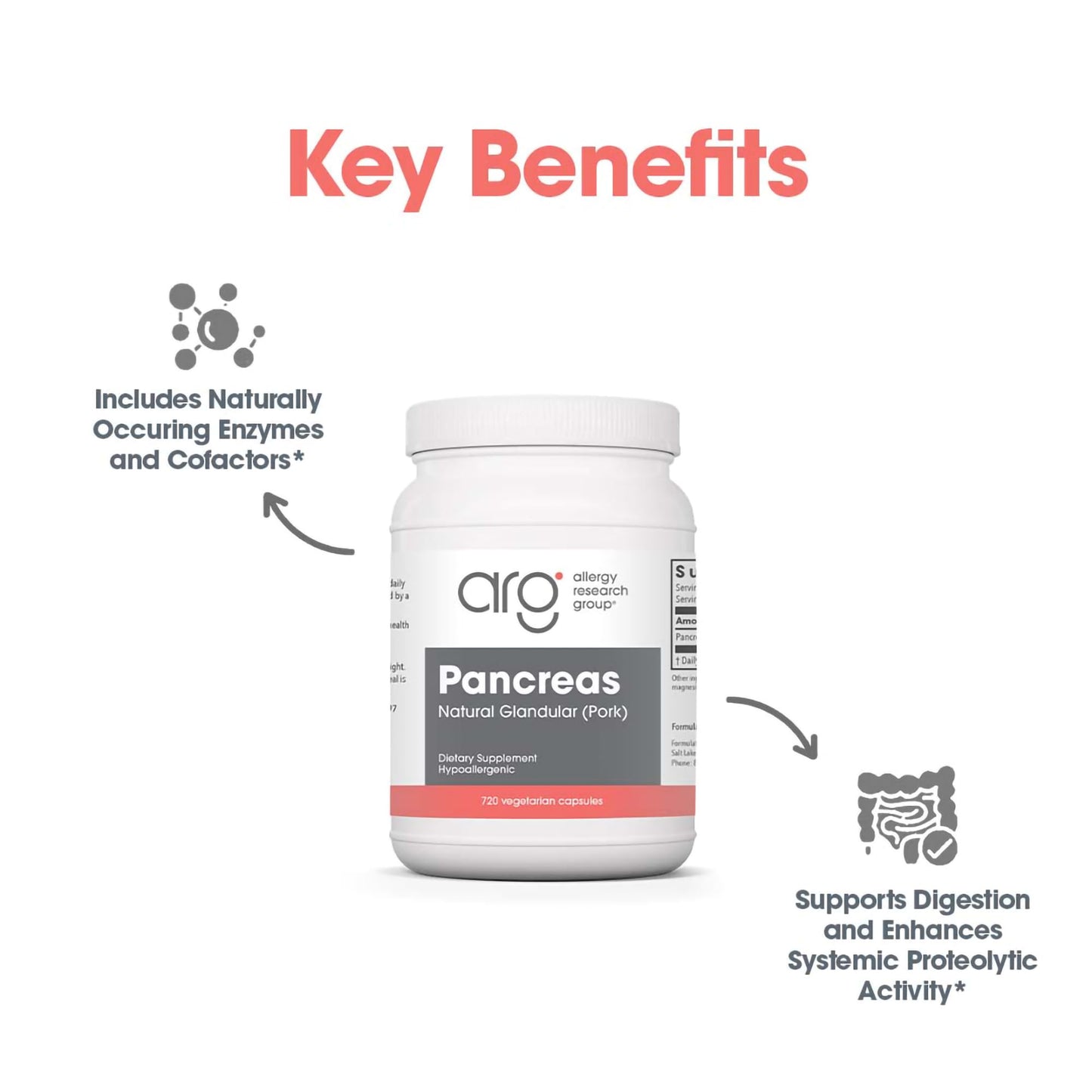 Allergy Research Group ARG Pancreas Natural Glandular Capsules 720