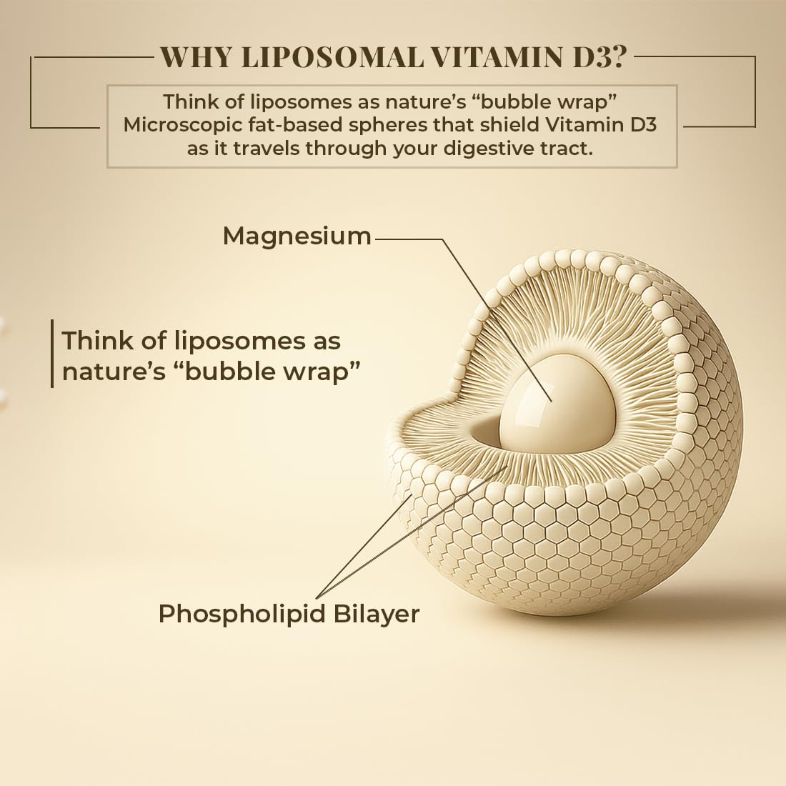 BEASTLIFE Liposomal Vitamin D3 Plus with Vitamin A & Vitamin K2 for Immune Support, Bone Health & Absorption Skin Support Calcium Utilization & Arterial Health 60 Capsules