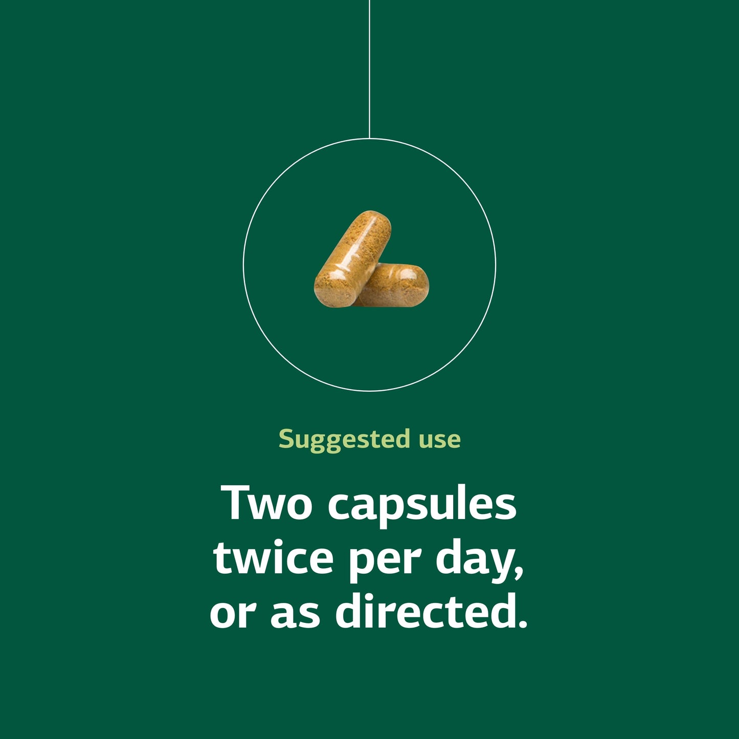 Standard Process Inc. Regeneplex 90 Capsules