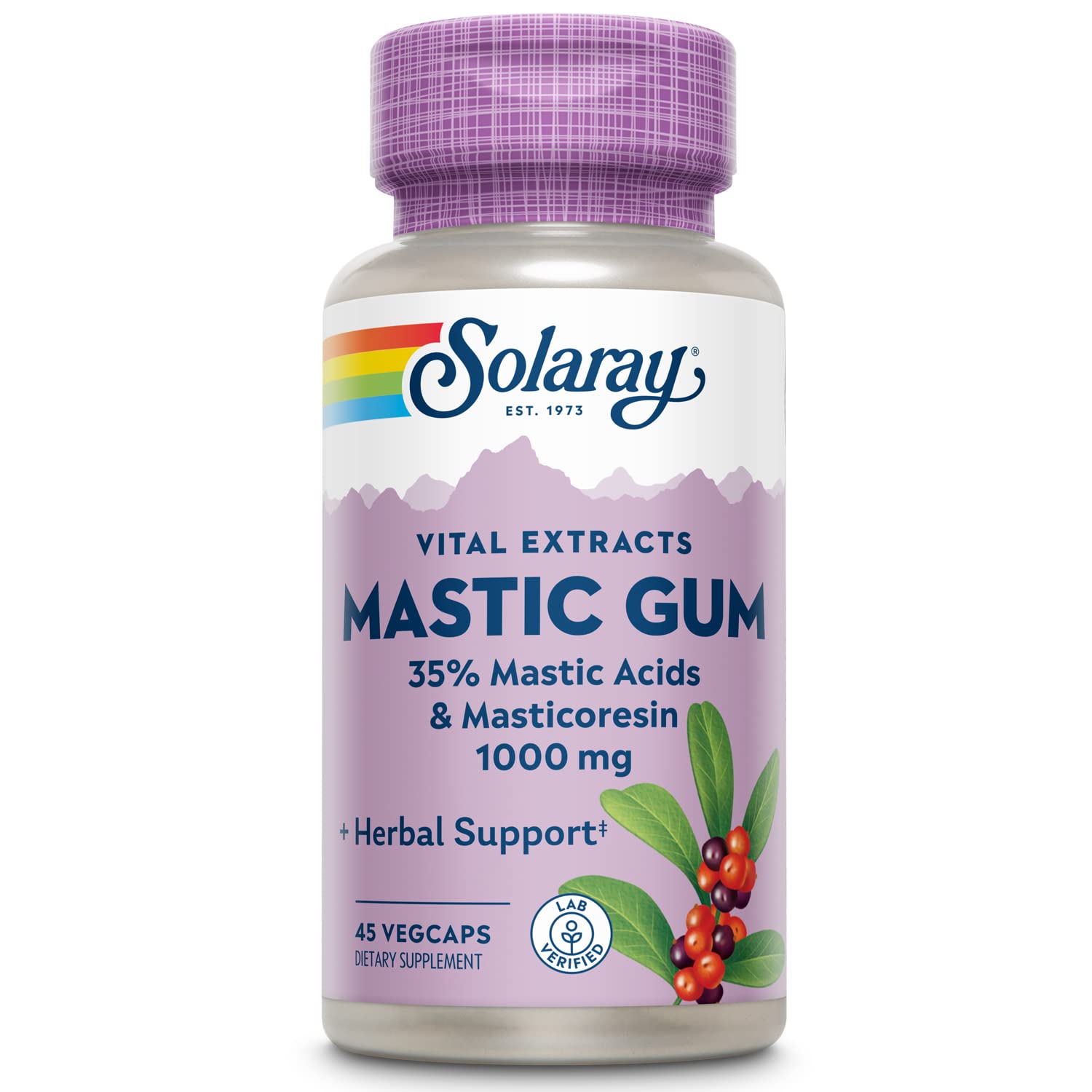 Solaray Mastic Gum Extract 500 mg Capsule, 45 Count