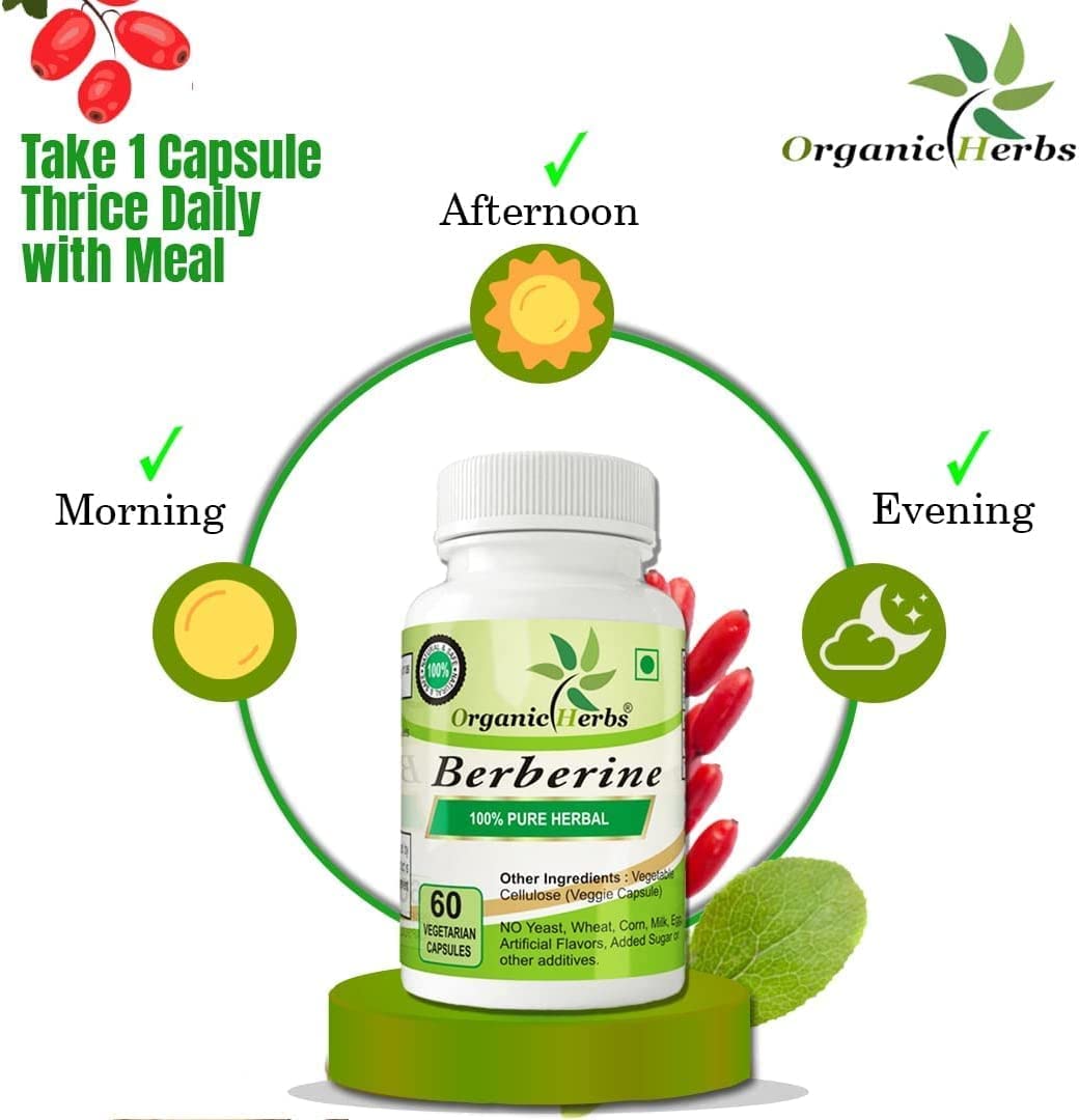 Organic Herbs Ayurvedic Berberine Capsule 1 Count