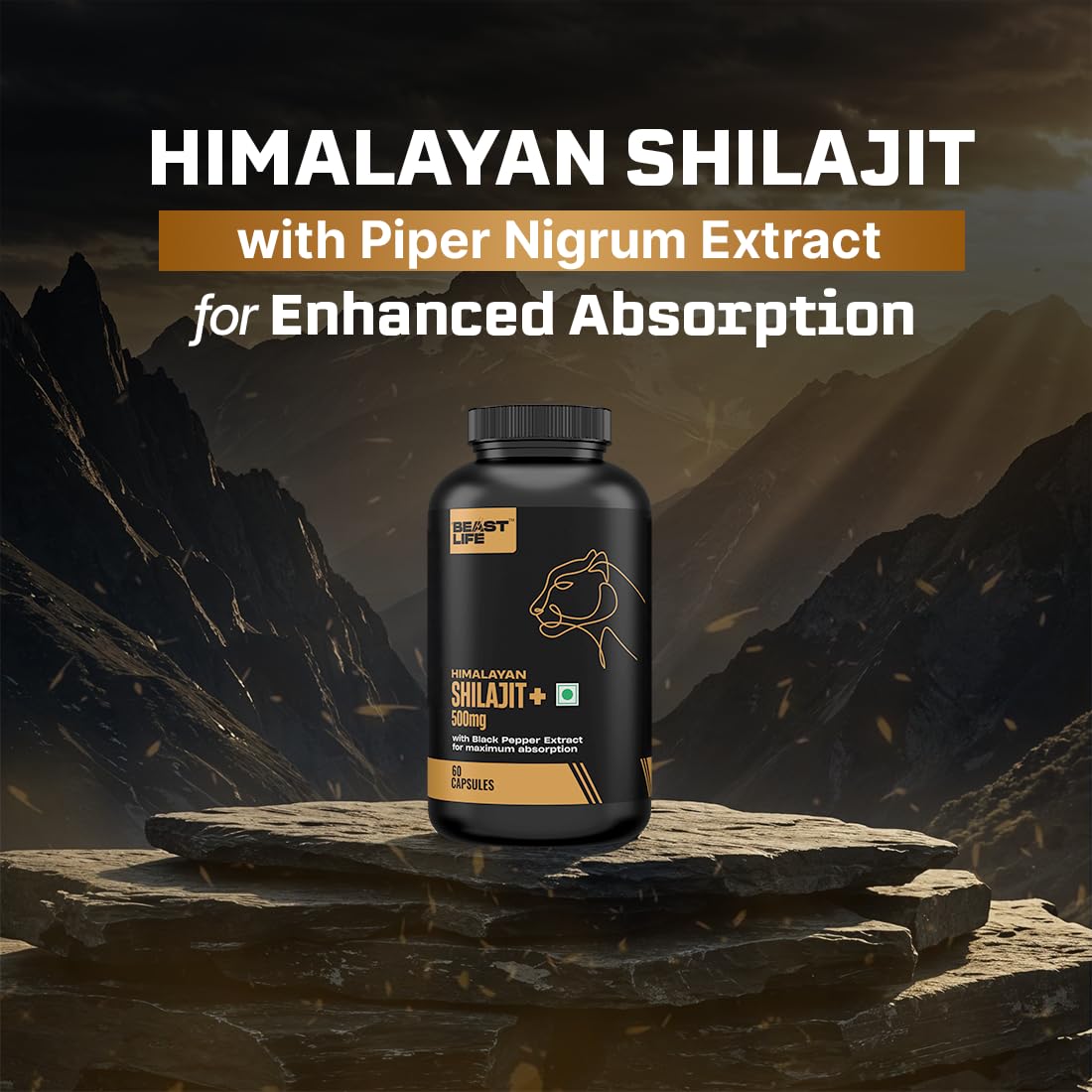 BEASTLIFE Himalayan Shilajit Capsules 60 Count