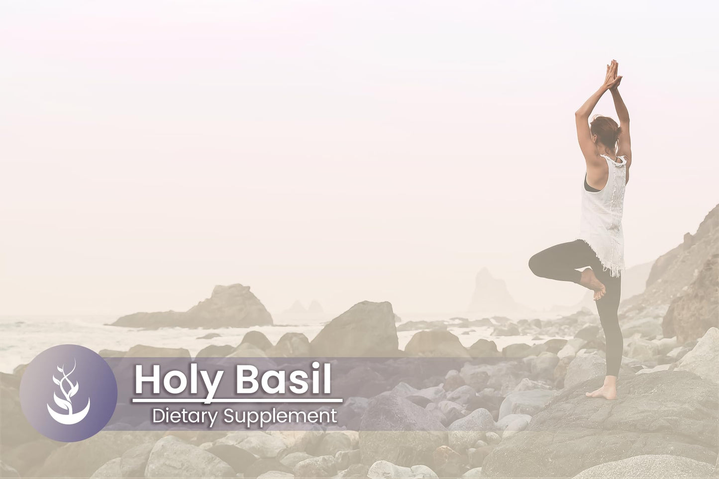 Pure Original Ingredients Holy Basil 100 Capsules