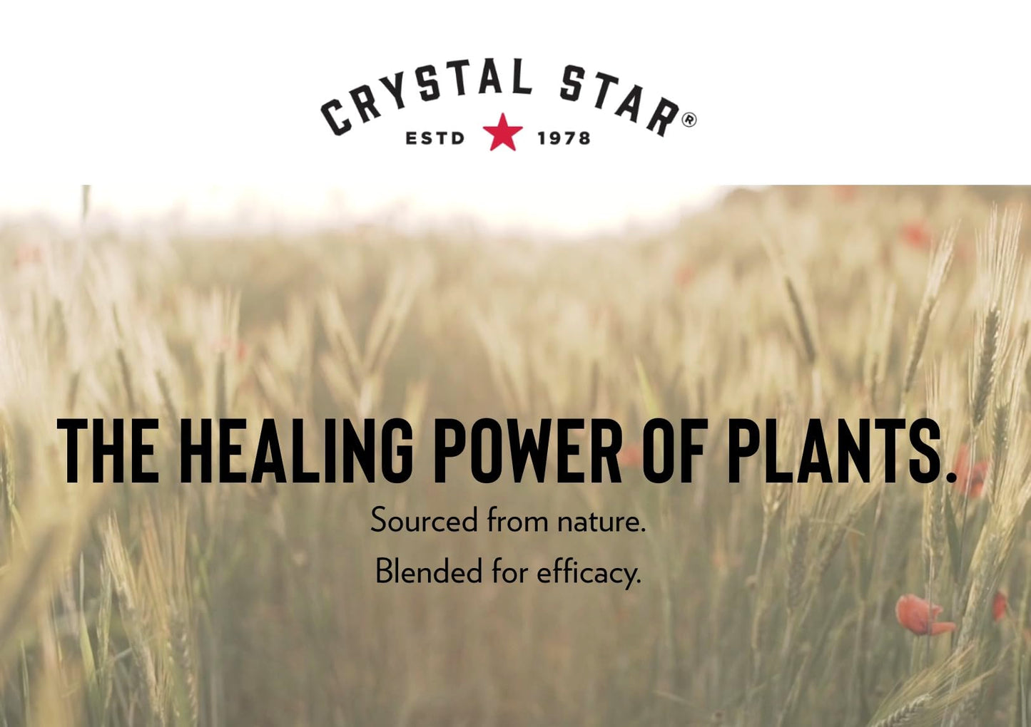 Crystal Star Fibro Defense Capsules, 150