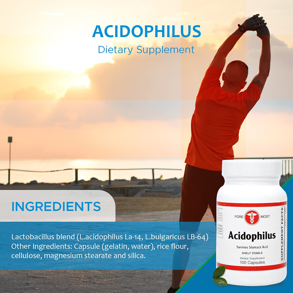 Holistic Health Acidophilus Probiotic Capsules, Probiotic Lactobacillus Blend Supplement for Promoting Intestinal Health, Stronger Immunity, and Enhanced Digestion, 100 Capsules