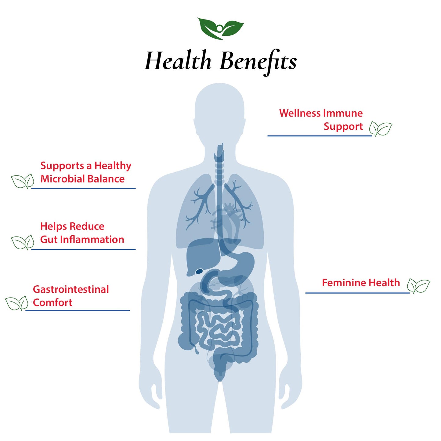Foods For Gut Bifidobacterium Breve Probiotic Powder 3.52 oz