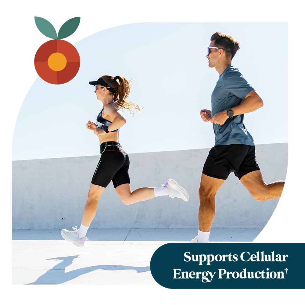 Pattern Wellness Acetyl-L-Carnitine 500 mg Capsules – ALCAR Supplement for Cellular Energy Production, Cognitive Health & Healthy Metabolism – Vegan, Non-GMO – 30 Capsules