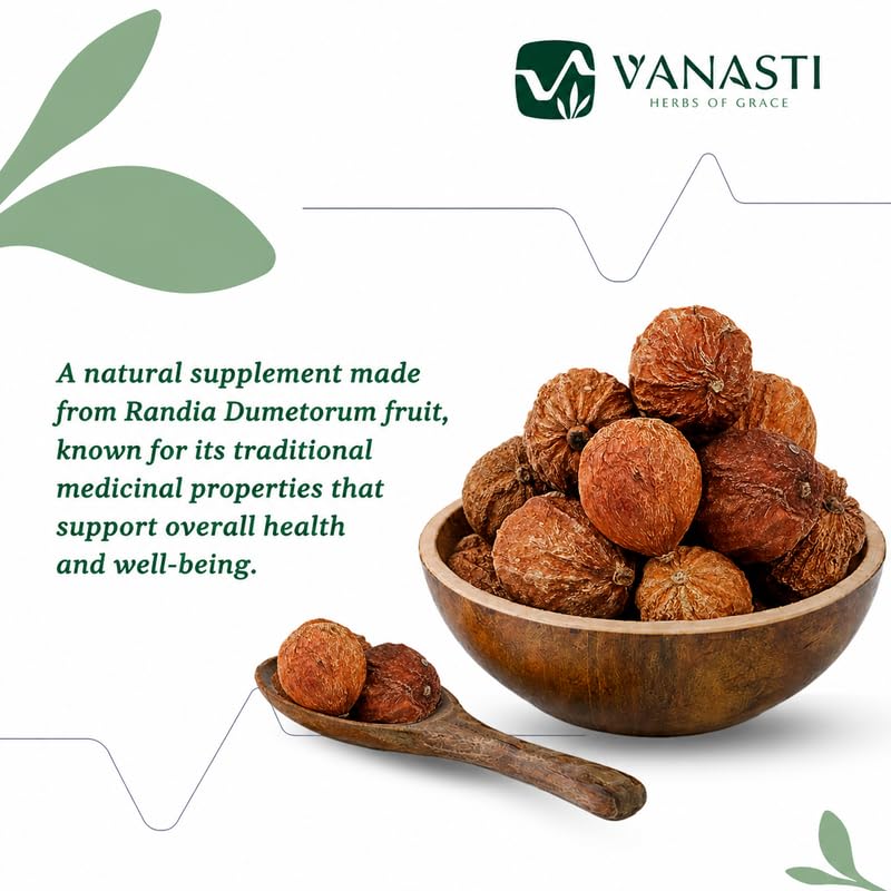 VANASTI Maind Phal Mend Phal Randia Dumetorum Mindol Powder 3.52 Ounce