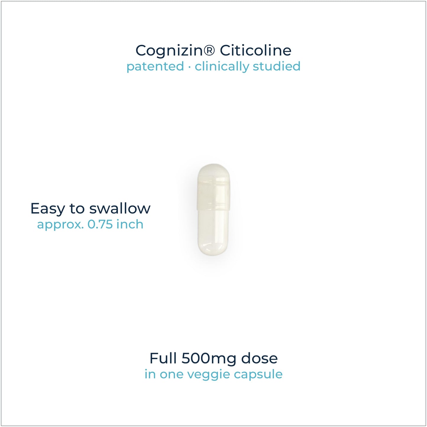 Rational Nutrition Cognizin Citicoline 500mg Capsules – CDP Choline Brain Support for Focus, Memory & Mental Clarity – 60 Count