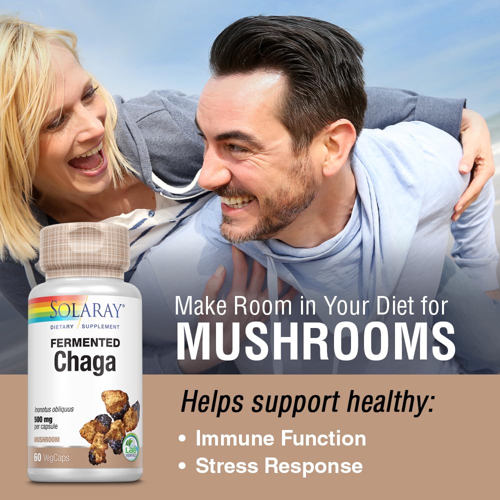 SOLARAY Fermented Chaga Mushroom 1000 mg Capsule 60 Count