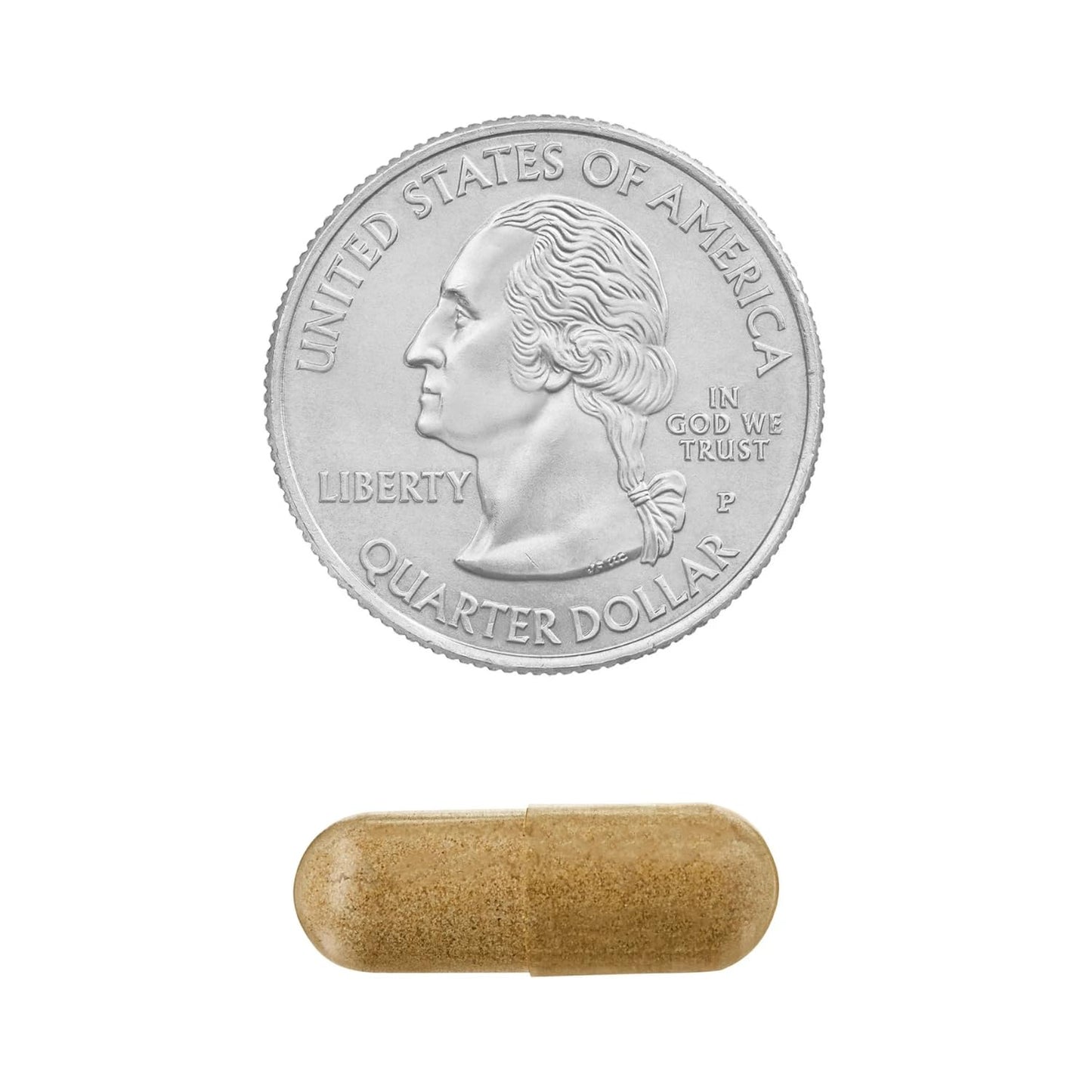 SCHMIDT EMPIRE Echinacea Goldenseal Blend 900 mg, 75 Vegetarian Capsules, Pack of 2