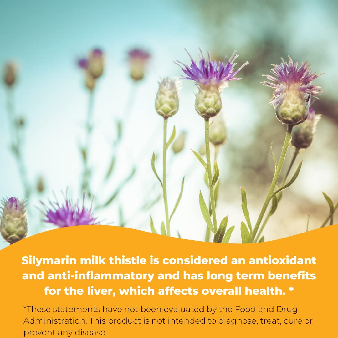 Wonder Laboratories Silymarin Milk Thistle 250 Capsules