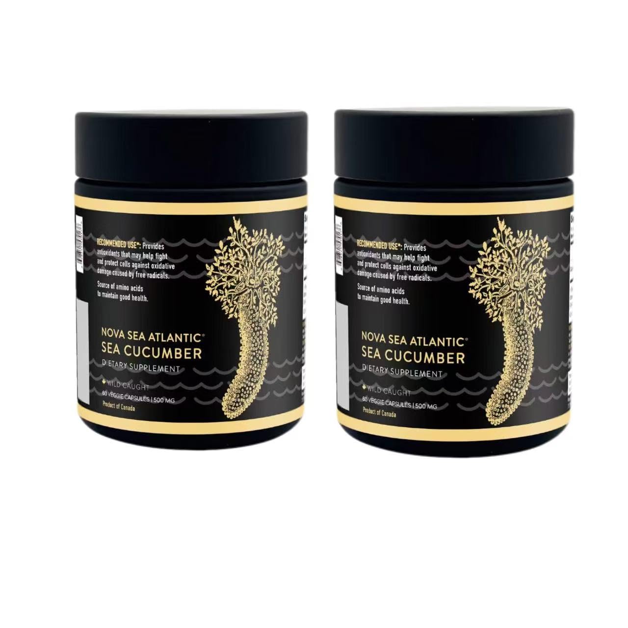 Nova Sea Atlantic Sea Cucumber Supplement Capsules, 120 Capsules