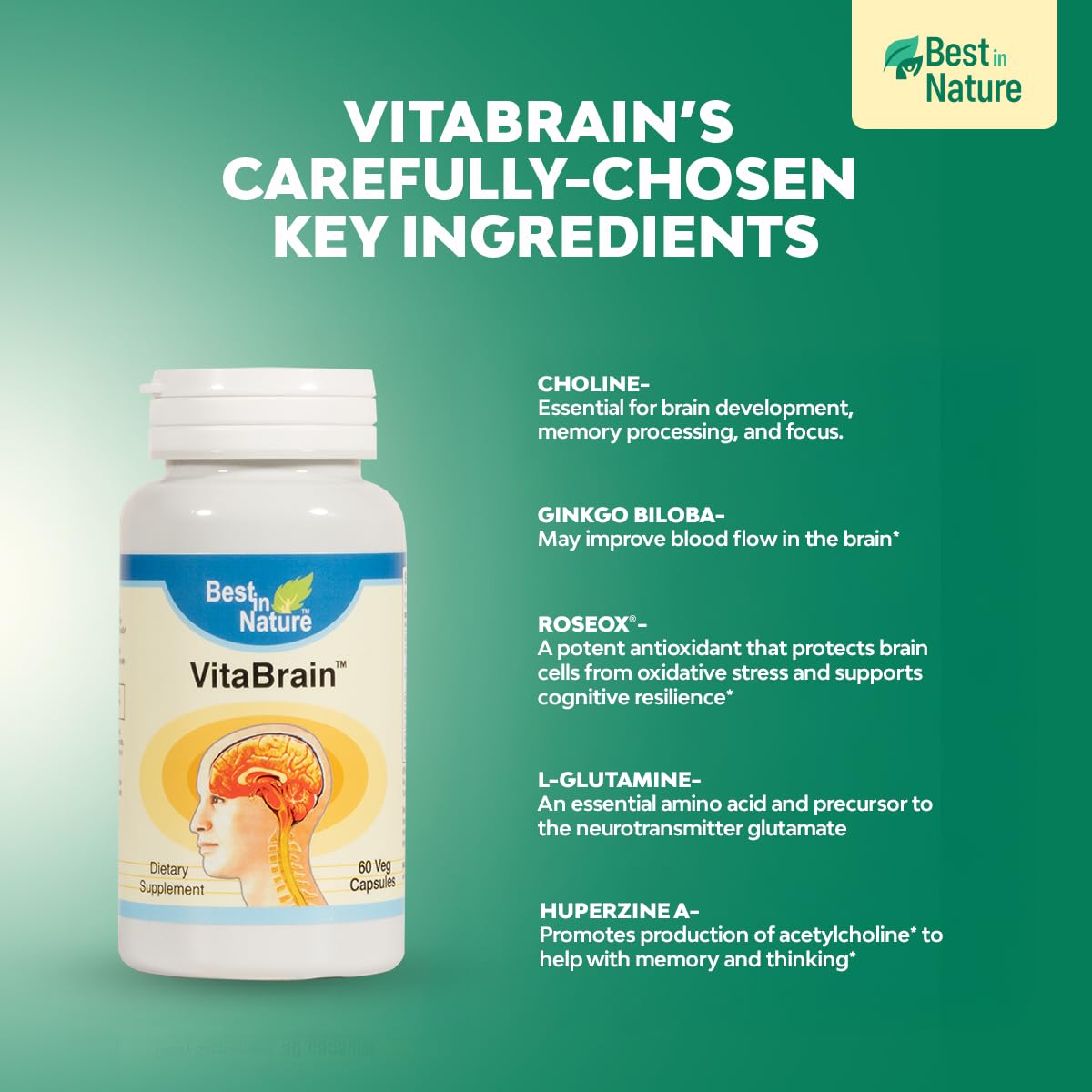 Best in Nature VitaBrain Brain Support Supplement Capsule 60 Count