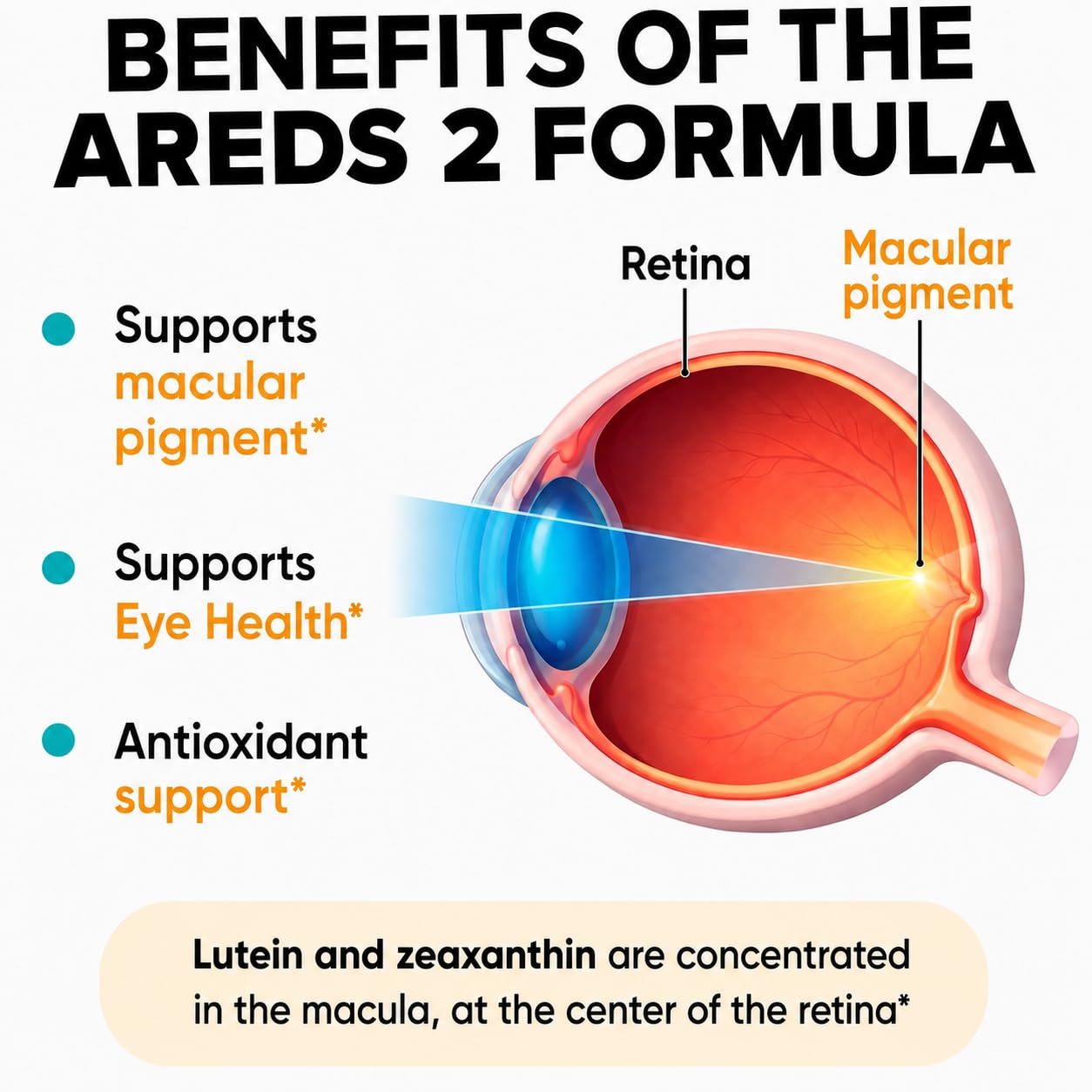 Peak Naturals AREDS 2 Eye Vitamins - Eye Health Supplements with Zinc, Lutein & Zeaxanthin, Blue Light Protection, Daily Vision Support for Adults, Supports Macular Pigment, 60 Capsules