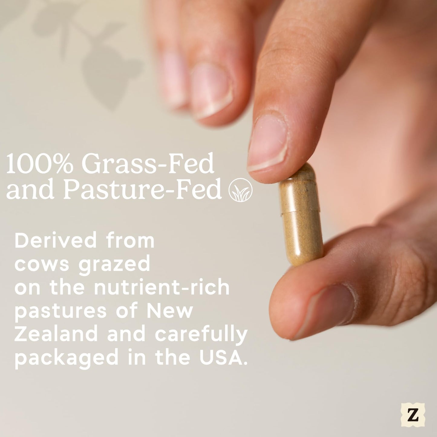 Zen Principle Grass Fed Beef Intestines with Stomach (Tripe) Supplement Capsules, 420 Capsules