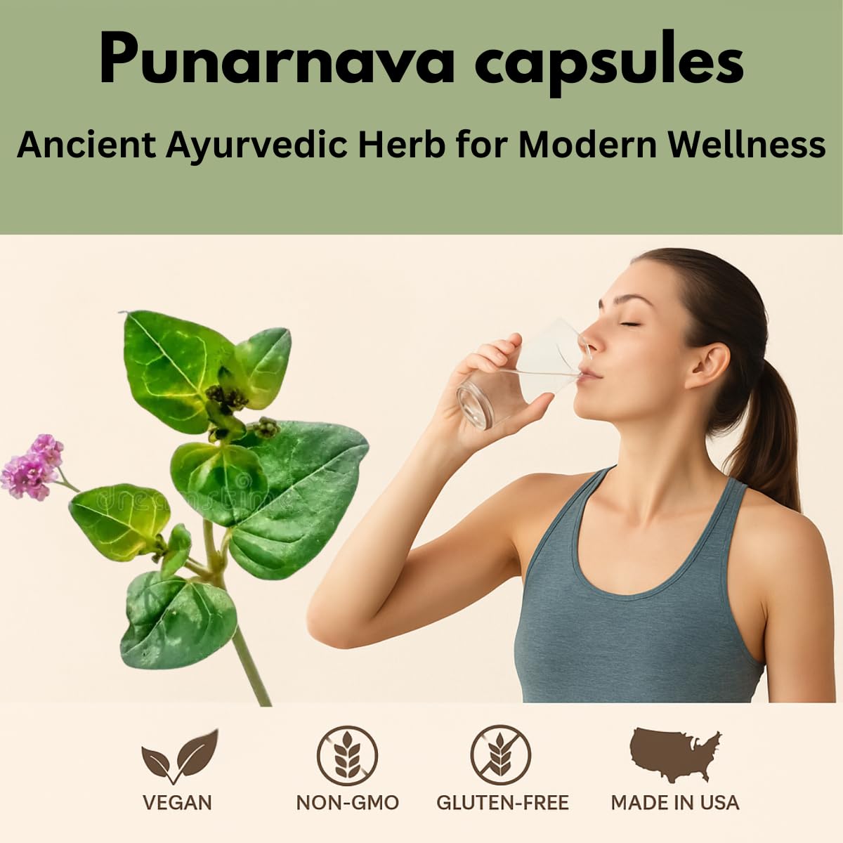 Morsan Healthcare Punarnava (Boerhaavia Diffusa) 500mg Capsules, 120 Count