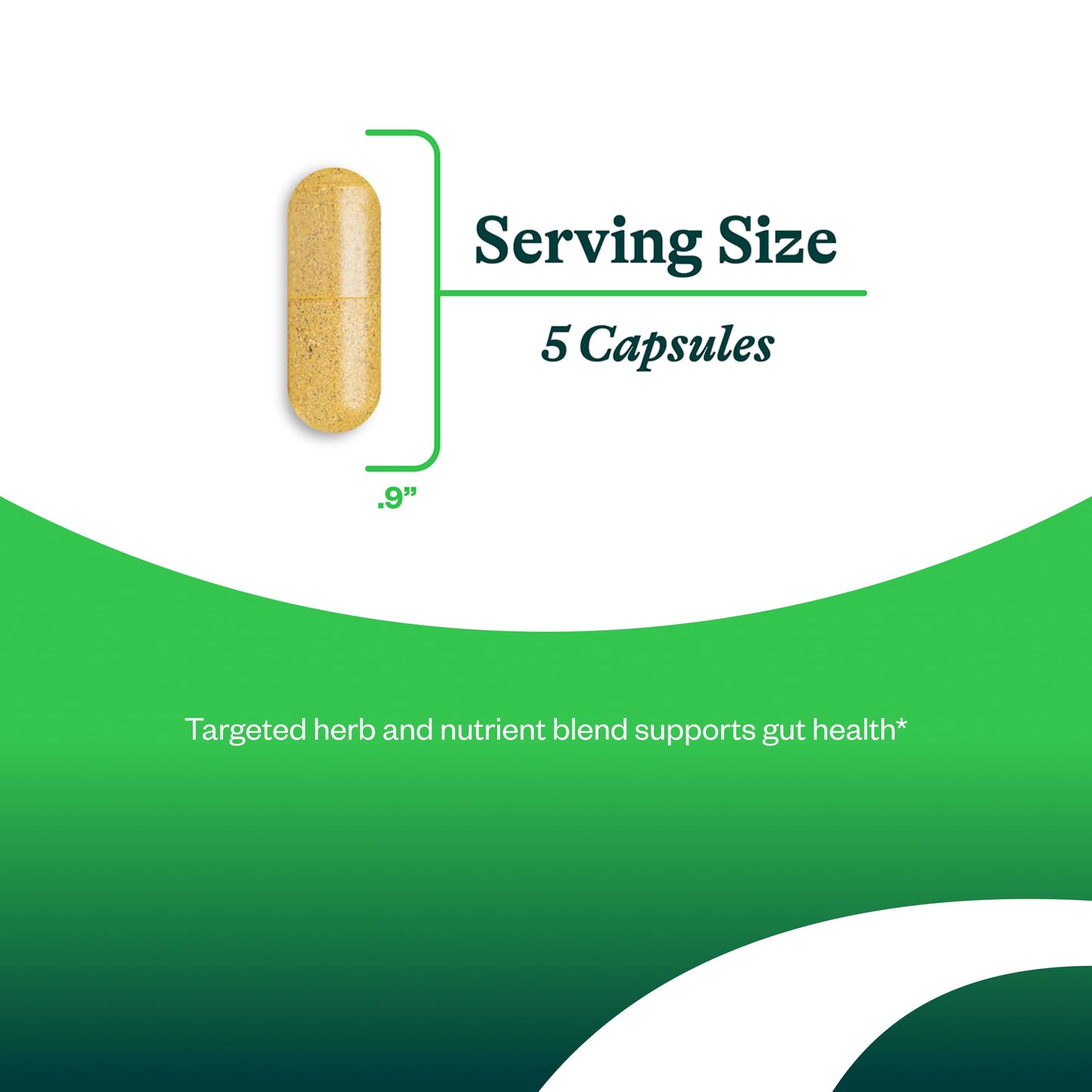 Seeking Health Gut Nutrients, Digestive and Gastrointestinal Support, Glutamine-Free Supplement, Vegan and Vegetarian, 150 Capsules