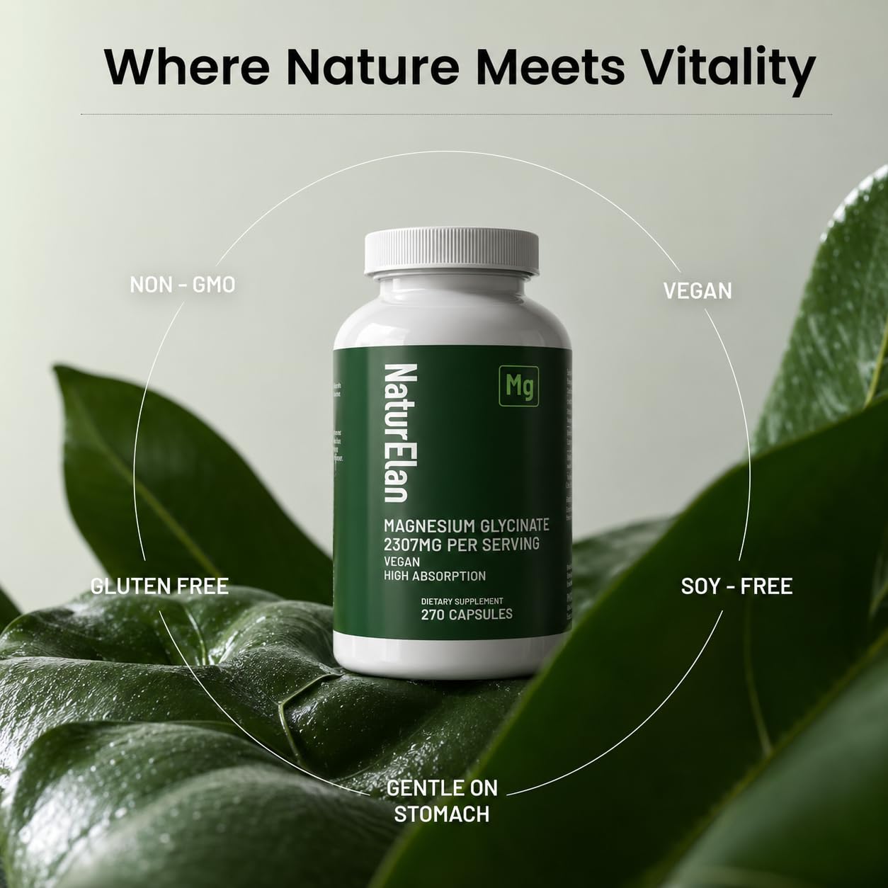 NaturElan Magnesium Glycinate 2307mg Capsule, 270 Capsules