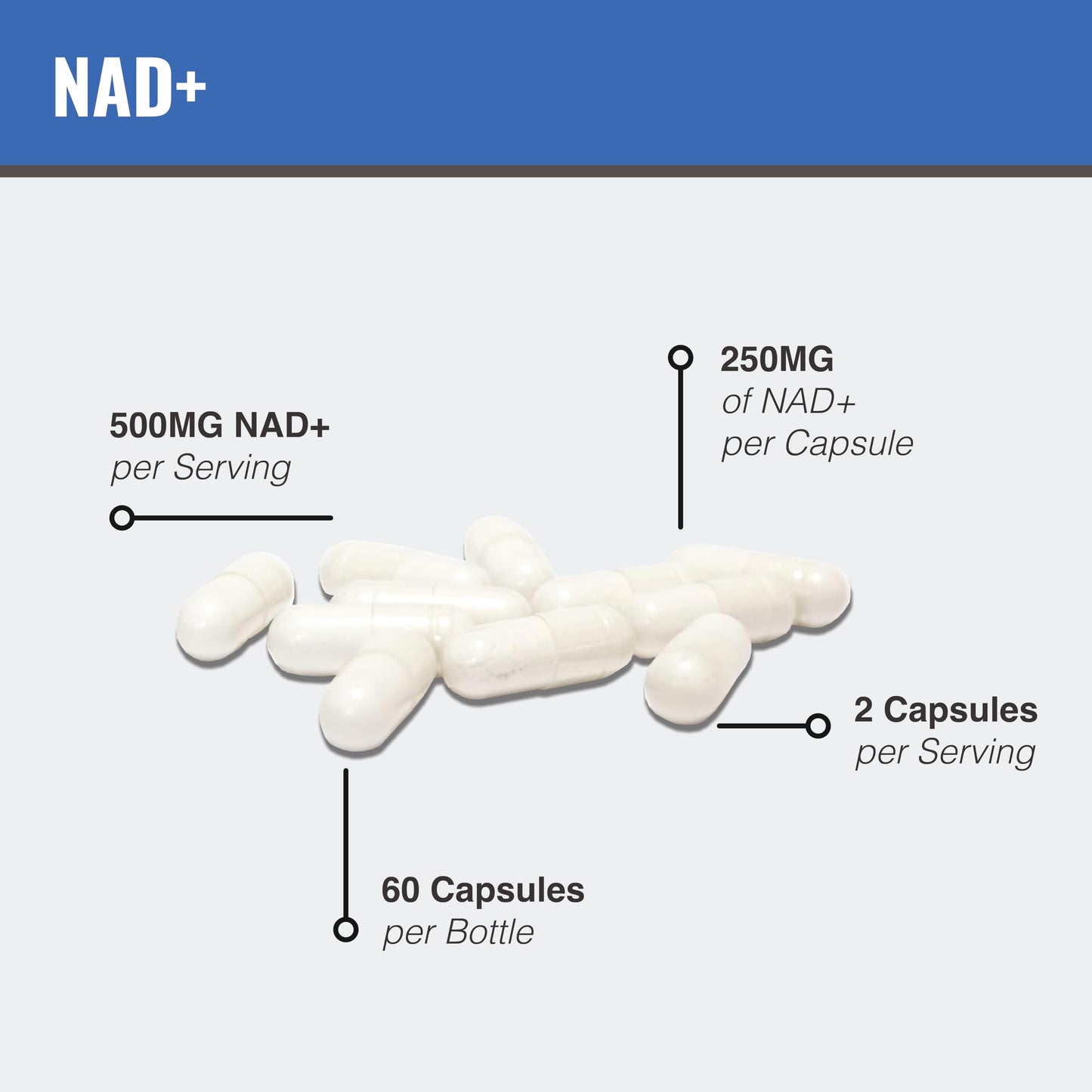 MAAC10 Liposomal NAD Supplement Capsule 60 Count