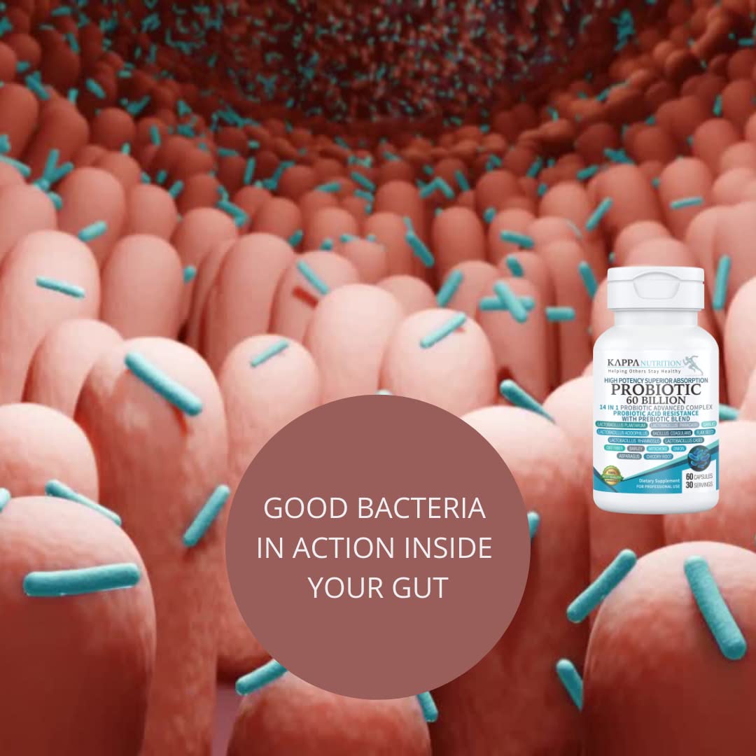 KAPPA NUTRITION Probiotic 60 Billion CFU 14-in-1 Formula with Prebiotics & Acidophilus, 60 Capsules