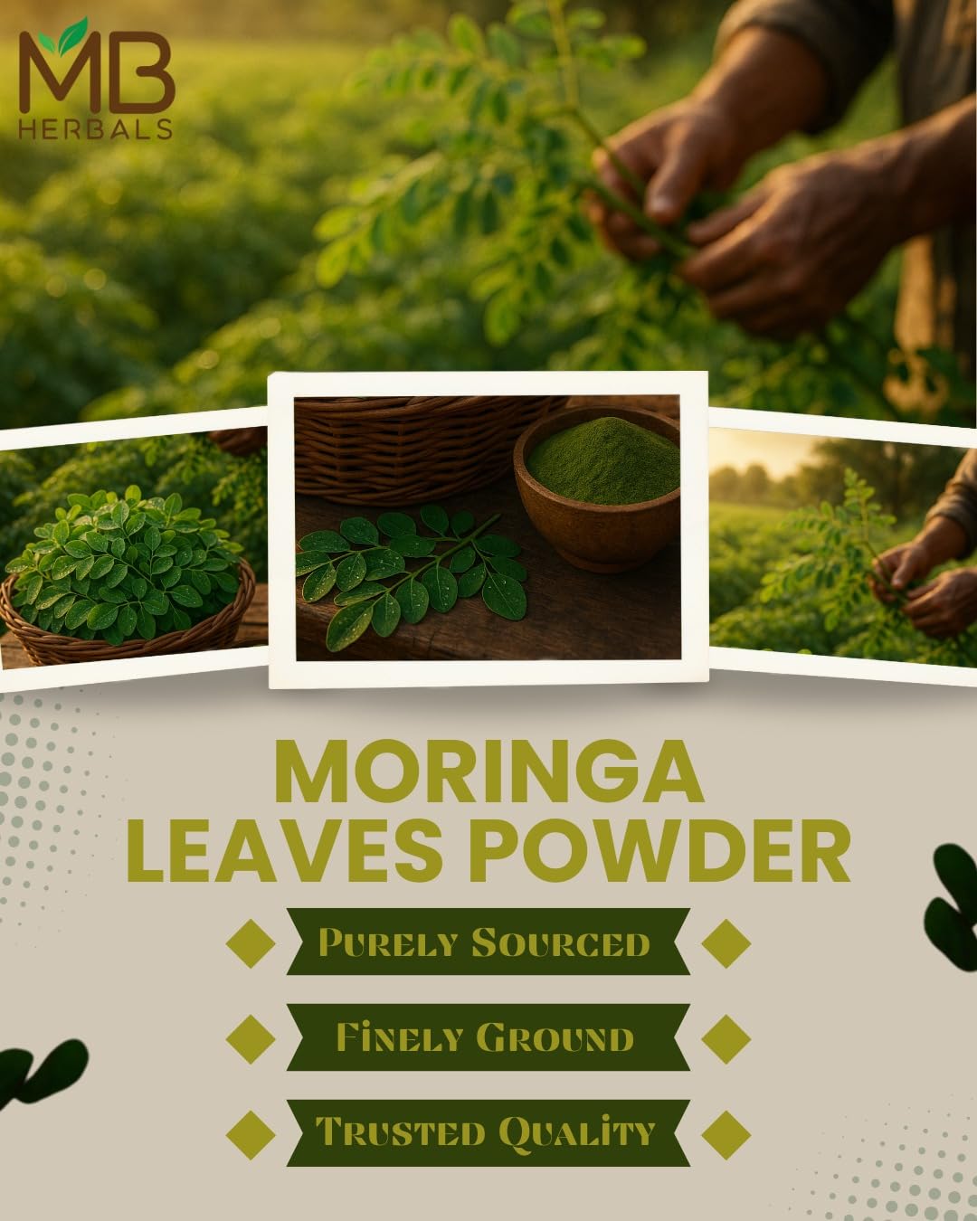 MB Herbals Moringa Leaf Powder 8 oz