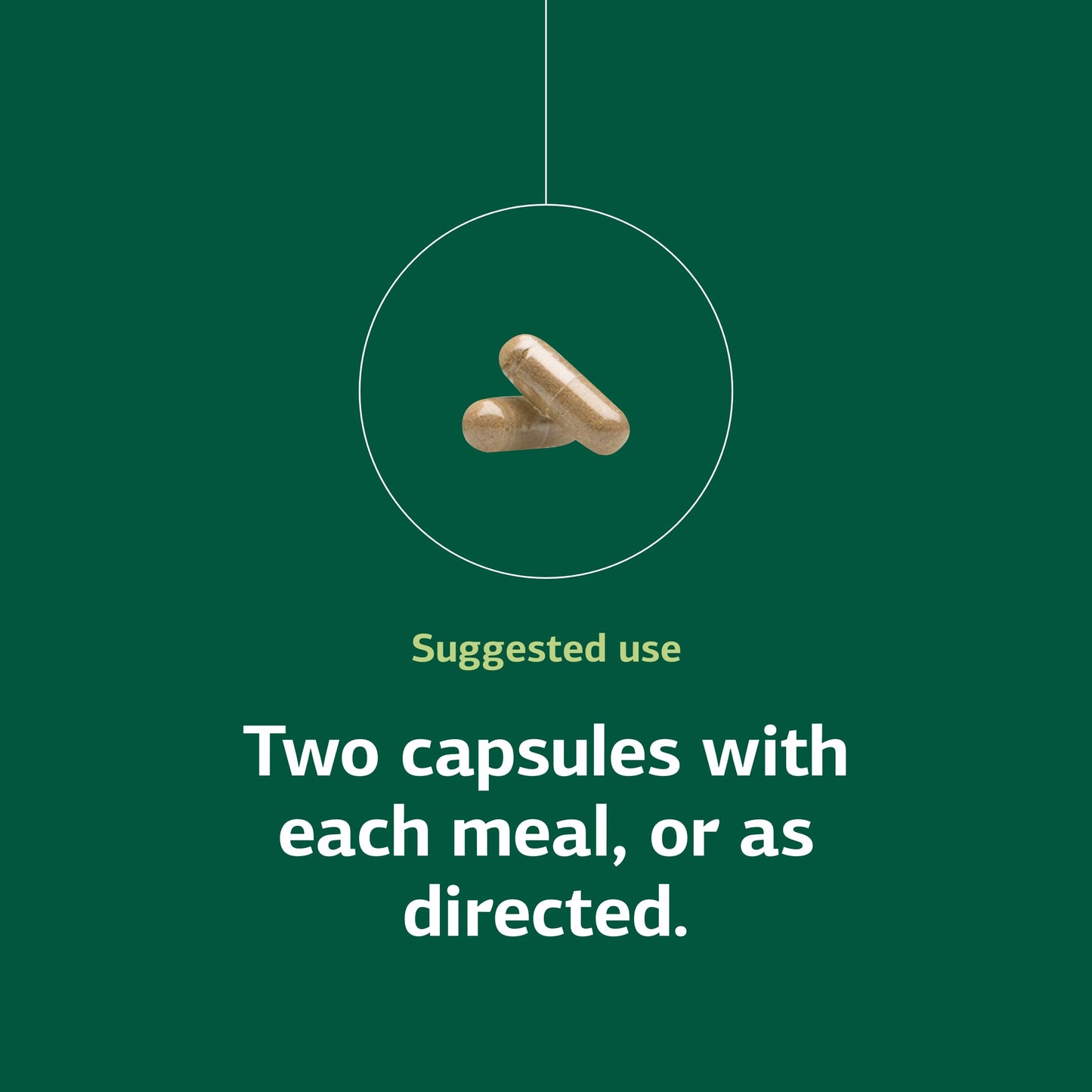 Standard Process Inc. Zymex Capsules 150 Capsules