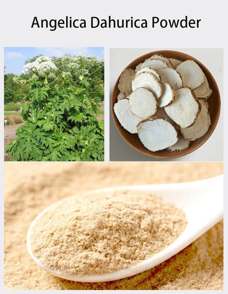 Doorpetal Dahurian Angelica BaiZhi Fen Powder, 8.81 oz