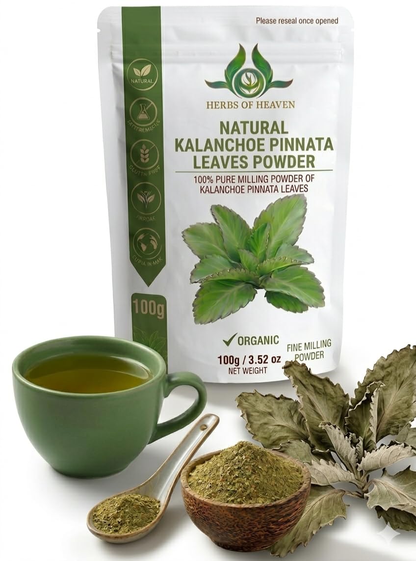 HERBS OF HEAVEN Kalanchoe Pinnata Leaves Powder 3.5 Ounces