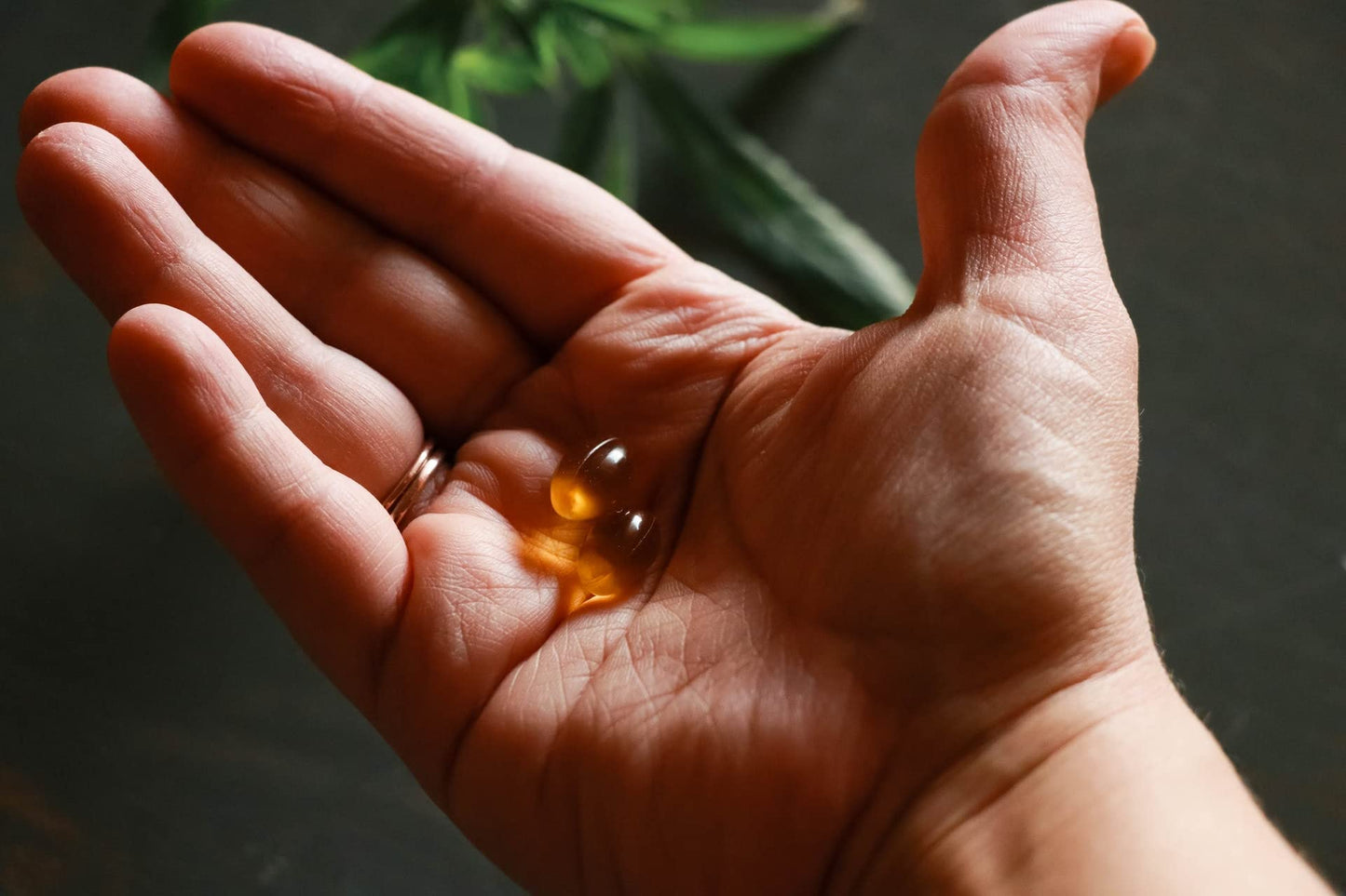 Restorative Botanicals Hemp Oil Softgels, 30 Count