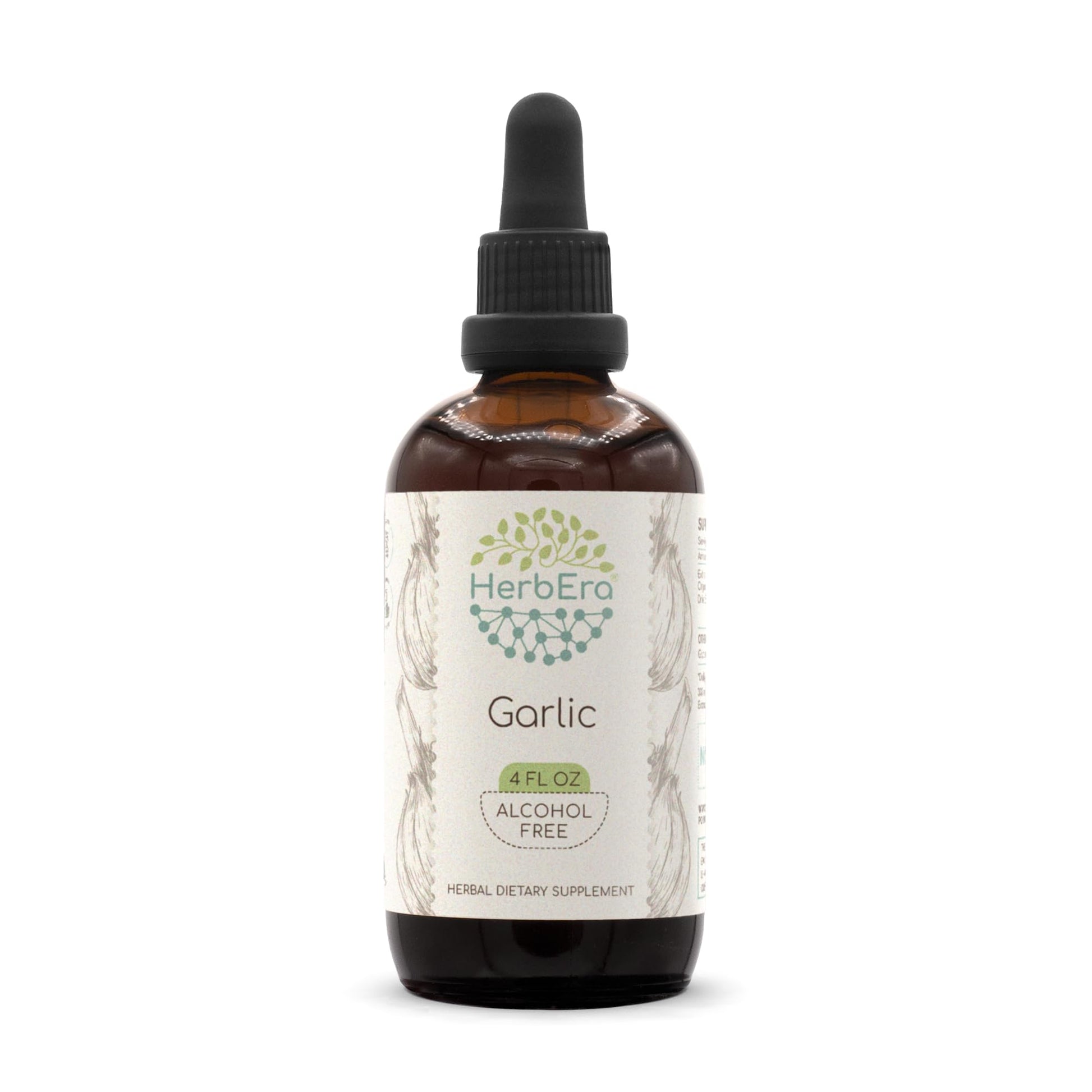 HerbEra Garlic B120 Alcohol-Free Herbal Extract Tincture Liquid 4 fl oz