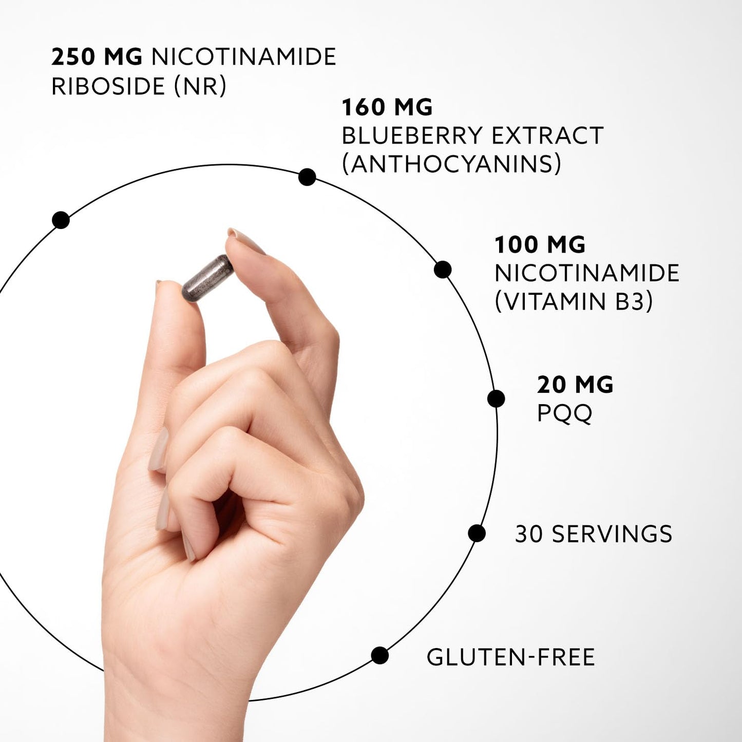 PUROVITALIS NAD+ Supplement with Nicotinamide Riboside (NR), Vitamin B3, PQQ & Anthocyanin, Cellular Energy Booster Capsules, 30 Capsules