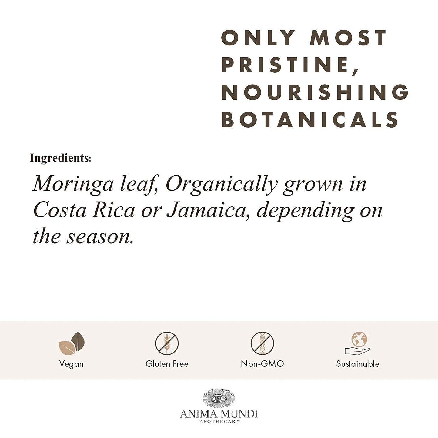 Anima Mundi Apothecary Moringa Leaf Powder 6 oz