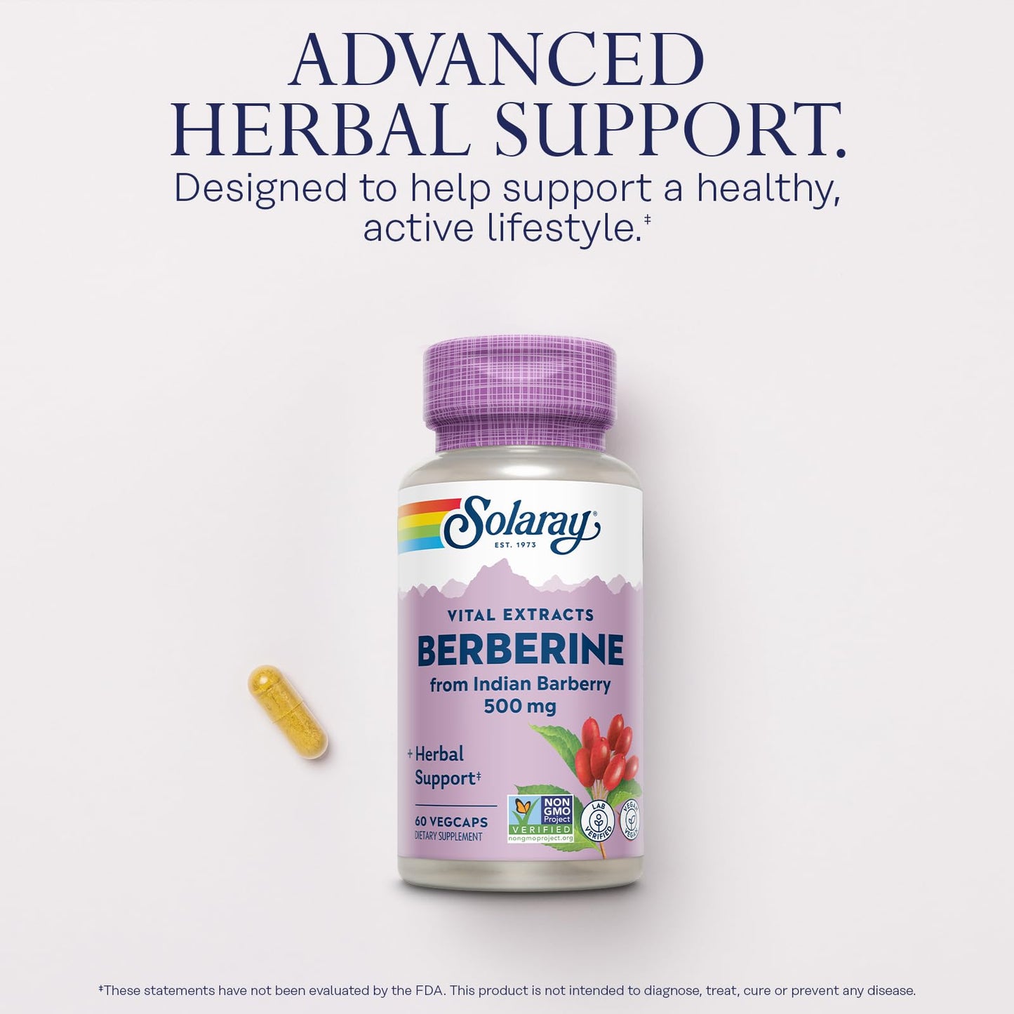 SOLARAY Berberine Extract 500 mg Capsule, 60 Count