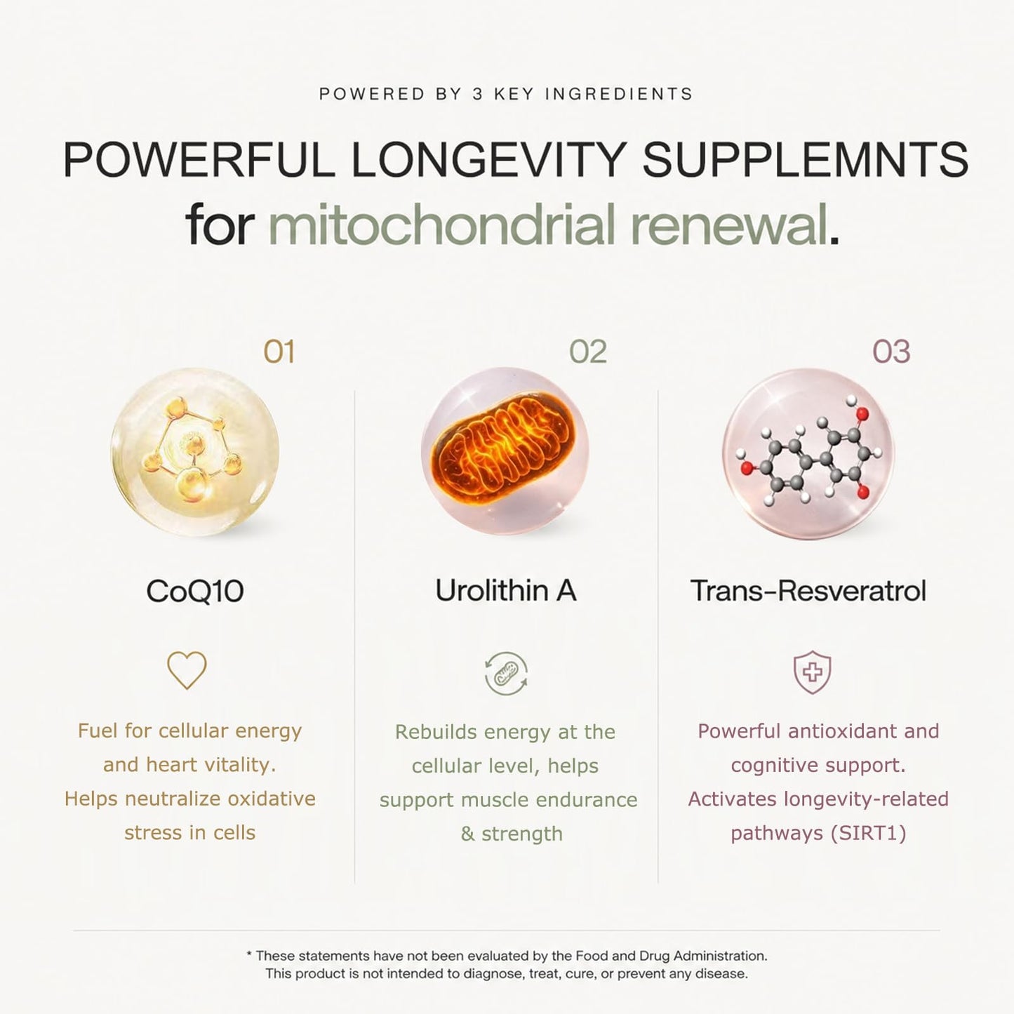 WINYEL Urolithin A Supplement Longevity Gummy 60 Count
