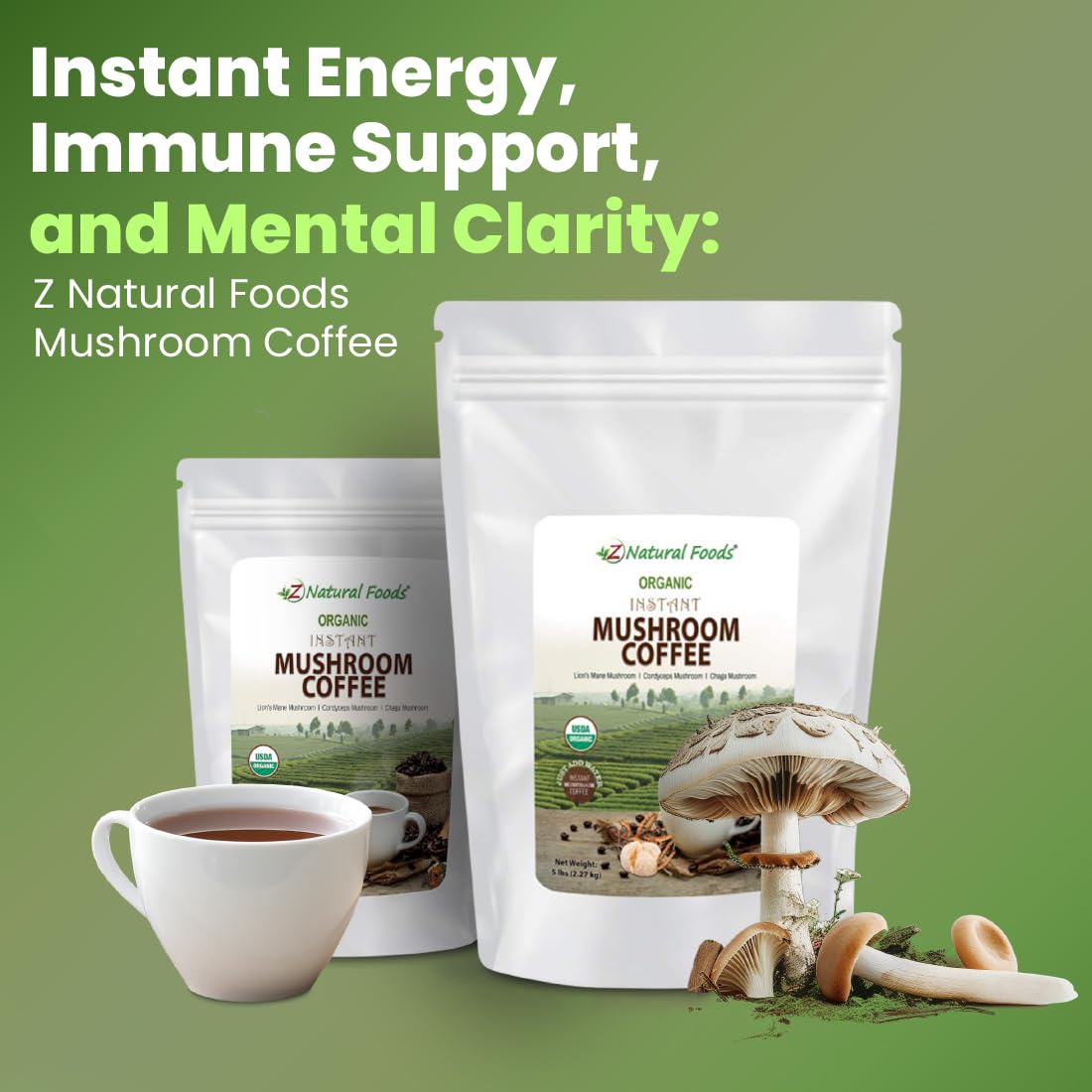 Z Natural Foods Organic Reishi Mushroom Extract Powder, 16 oz