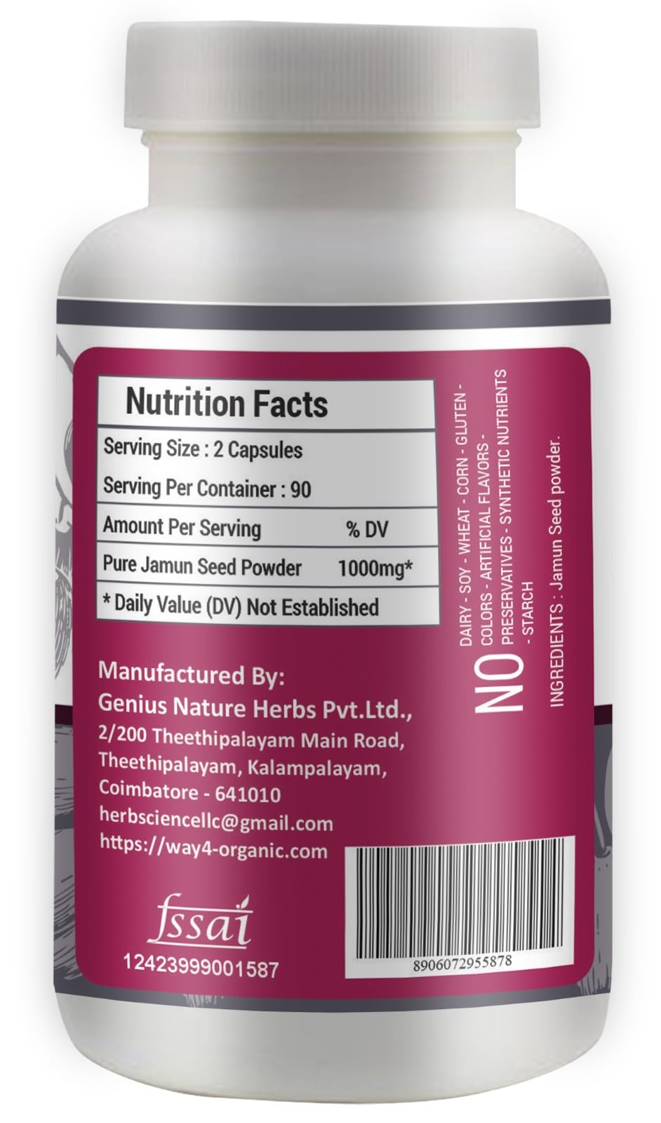 WAY 4 ORGANIC W4O Jamun Seed Capsules 1 Capsule