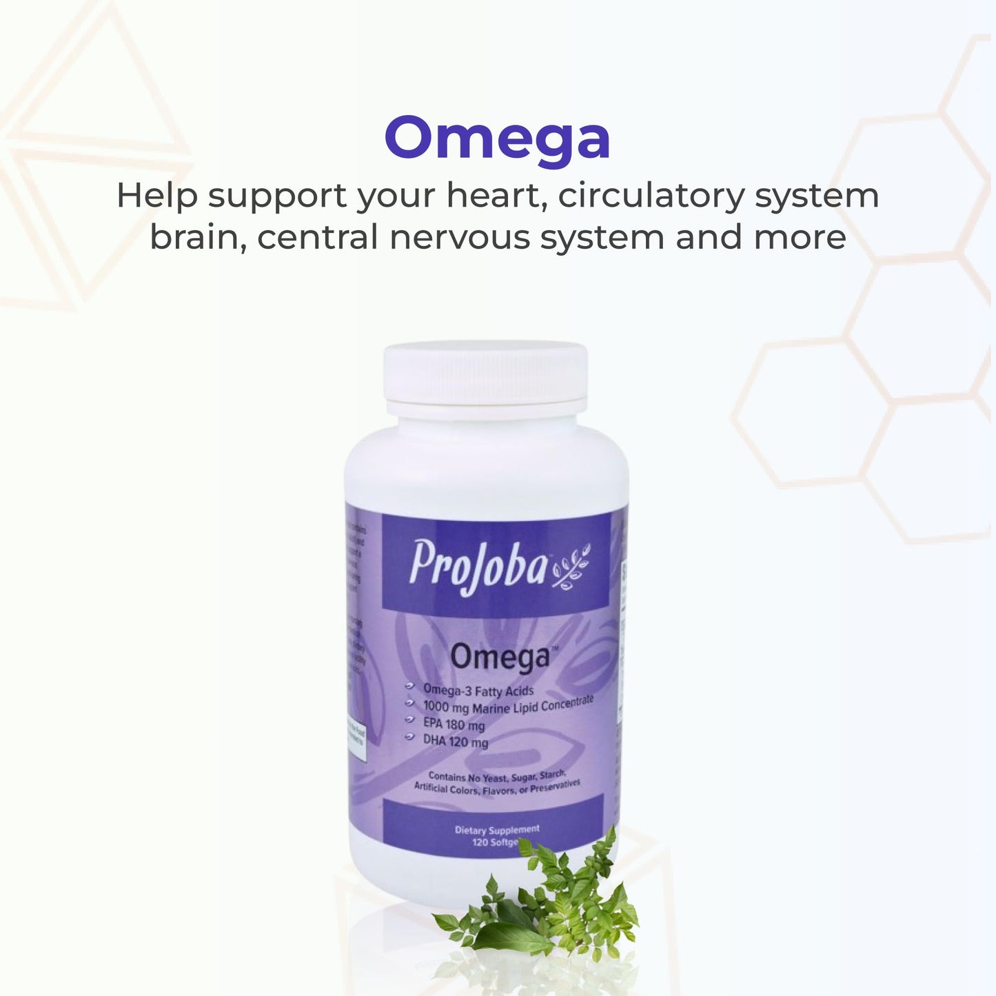 Youngevity Projoba Omega 1000 mg Omega-3 Fish Oil Softgels, 240 Count