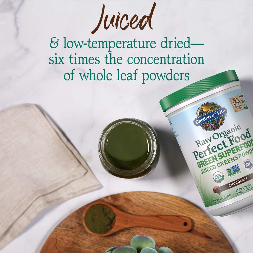 Garden of Life Raw Organic Perfect Food Chocolate Powder 20.1 oz